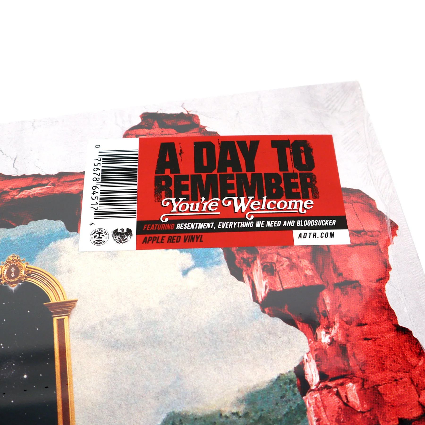 A Day to Remember: You're Welcome (Indie Exclusive Colored Vinyl) Vinyl LP - Image 4