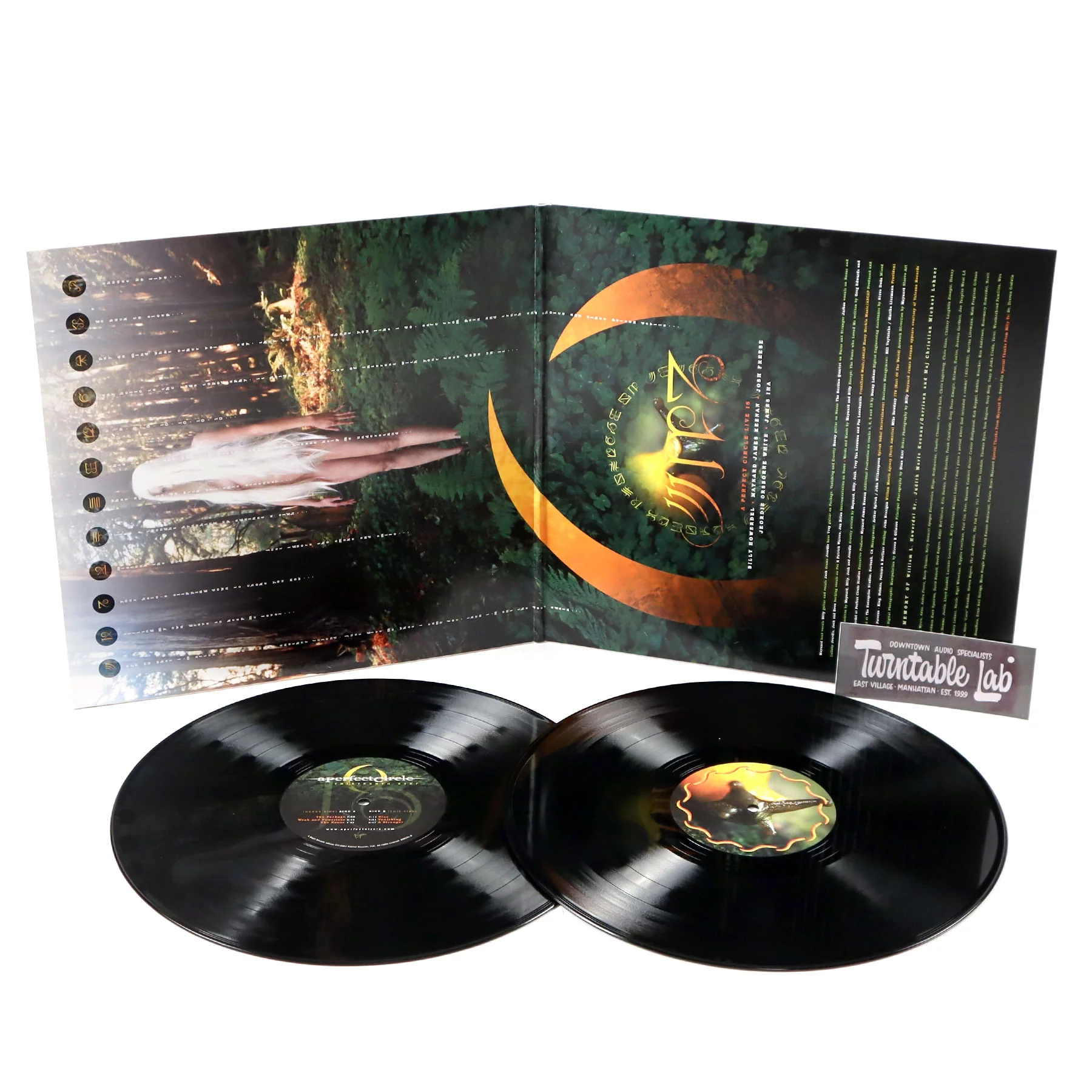 A Perfect Circle: Thirteenth Step Vinyl 2LP - Image 2
