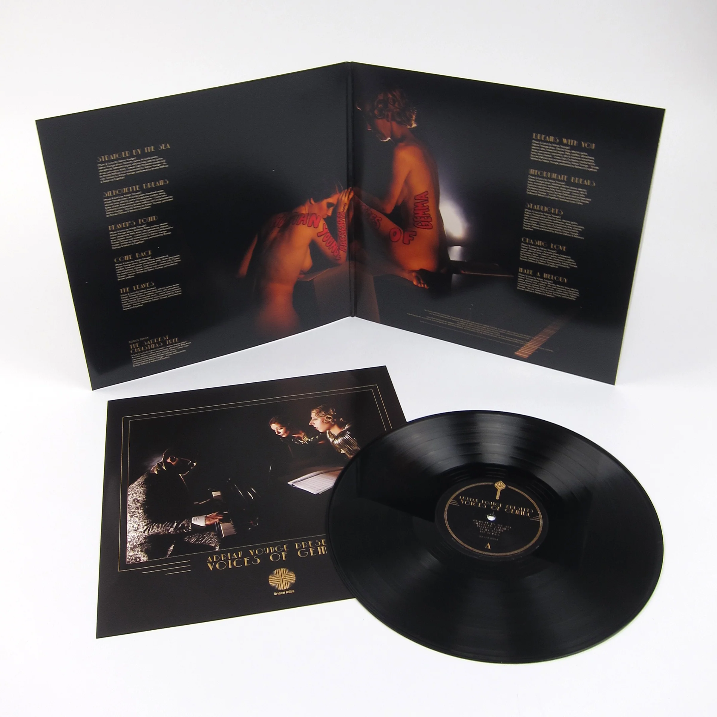 Adrian Younge: Presents … Voices Of Gemma Vinyl LP - Image 2