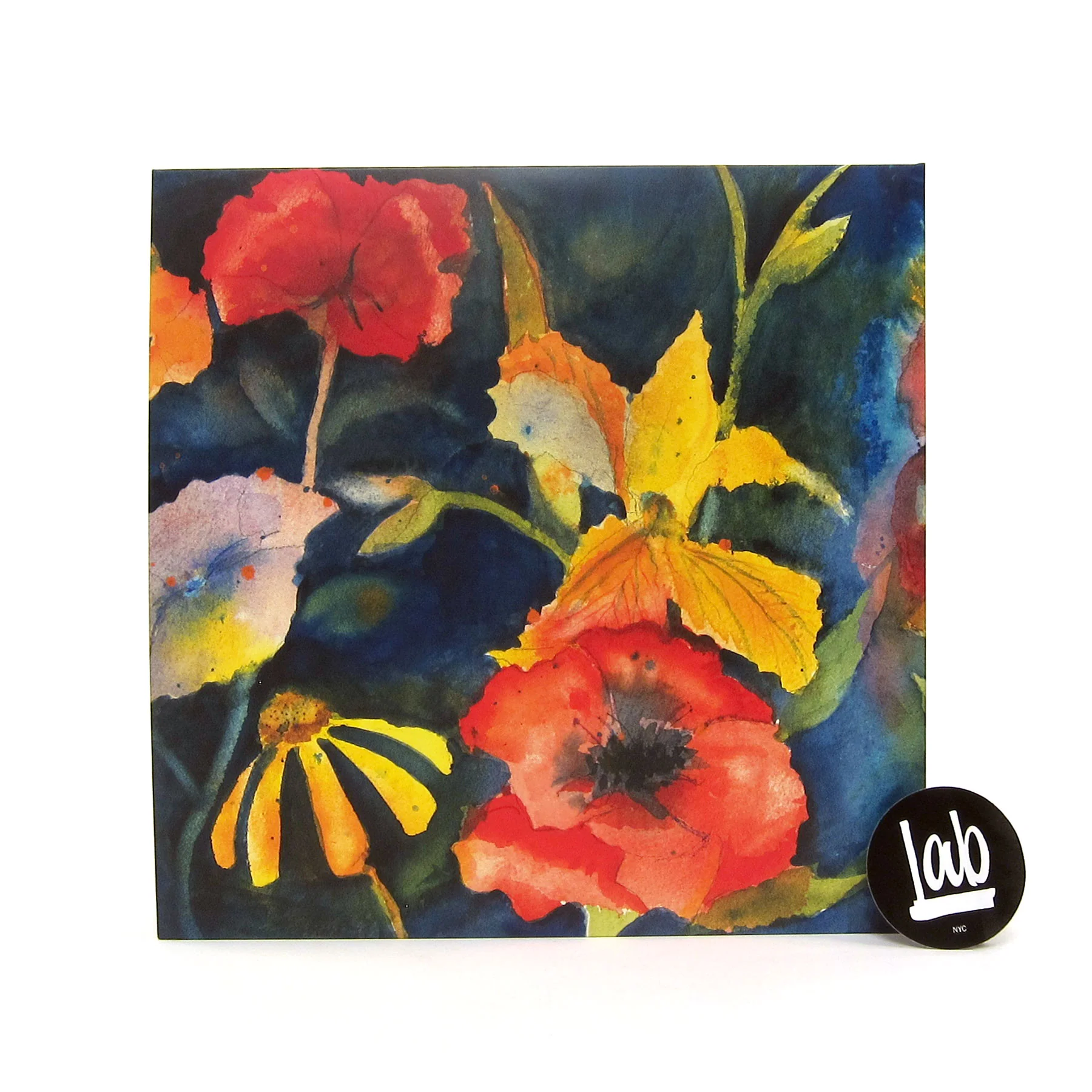 Adrianne Lenker: Songs And Instrumentals Vinyl 2LP - Image 3