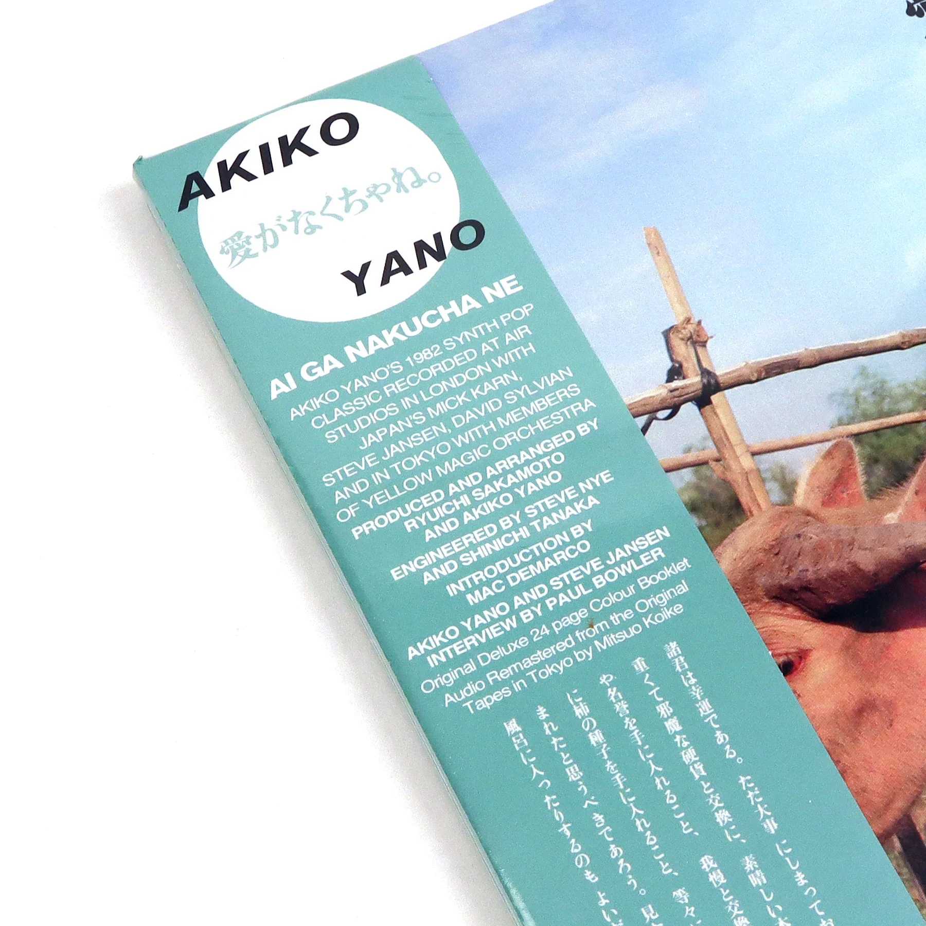 Akiko Yano: Ai Ga Nakucha Ne Vinyl LP - Image 4