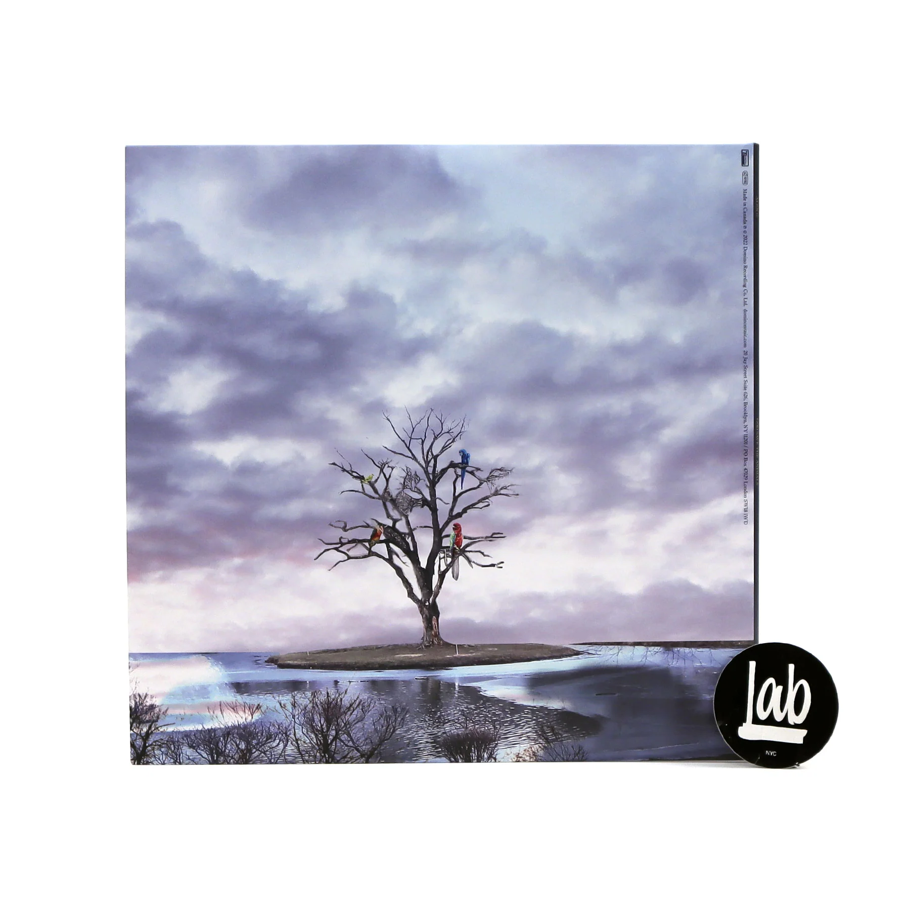 Alex G: God Save The Animals (Indie Exclusive Colored Vinyl) Vinyl LP - Image 3