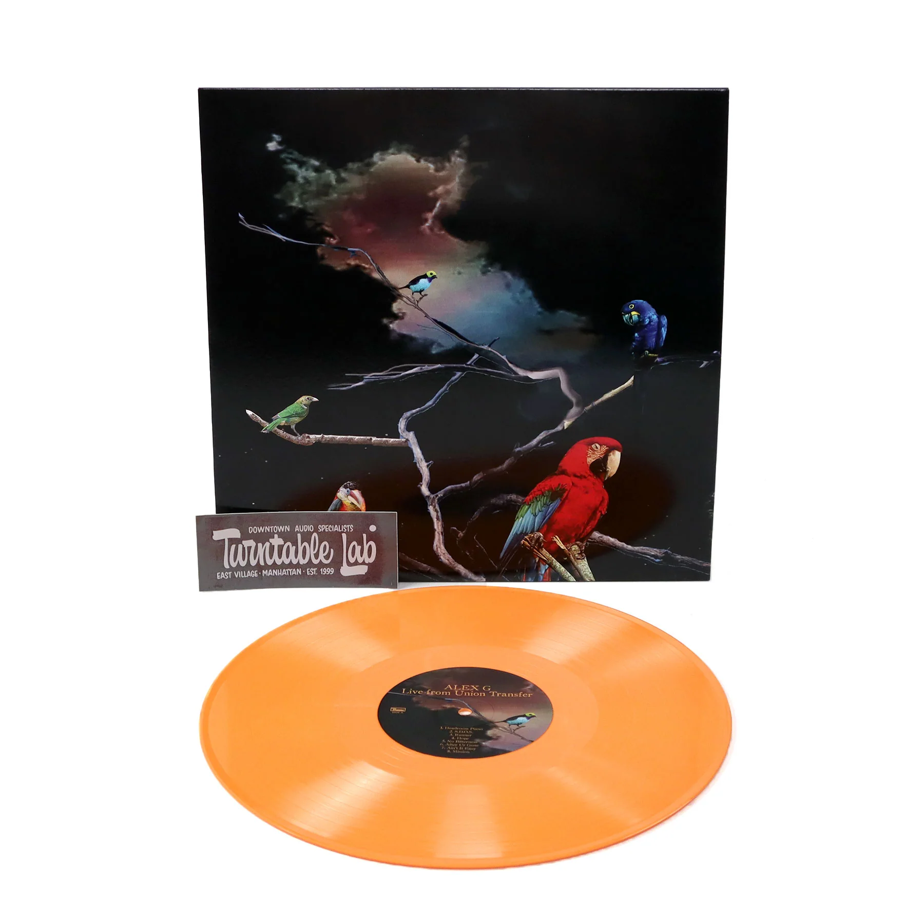 Alex G: Live From Union Transfer (Indie Exclusive Colored Vinyl) Vinyl LP - LIMIT 1 PER CUSTOMER - Image 2