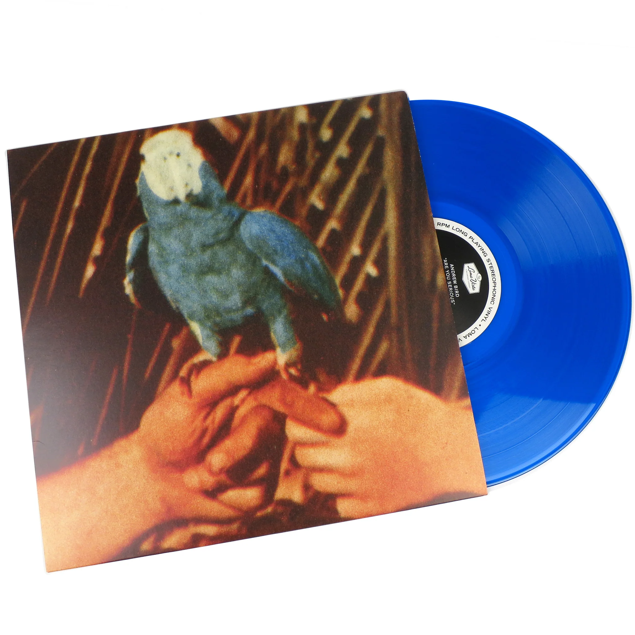 Andrew Bird: Are You Serious (180g, Colored Vinyl) Vinyl LP+7" - Image 2