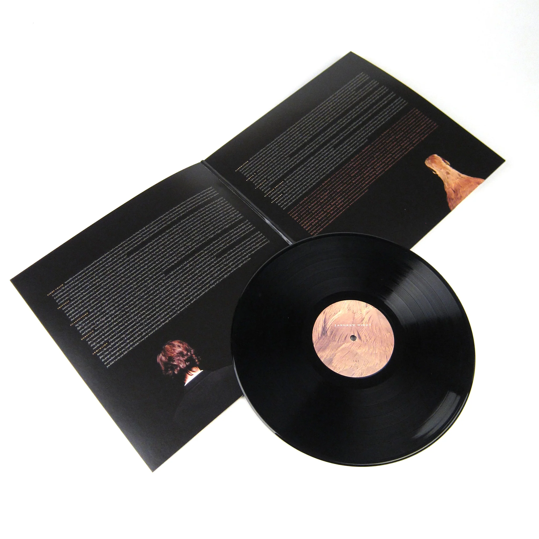 Andrew Bird: Armchair Apocrypha (180g) Vinyl LP - Image 2