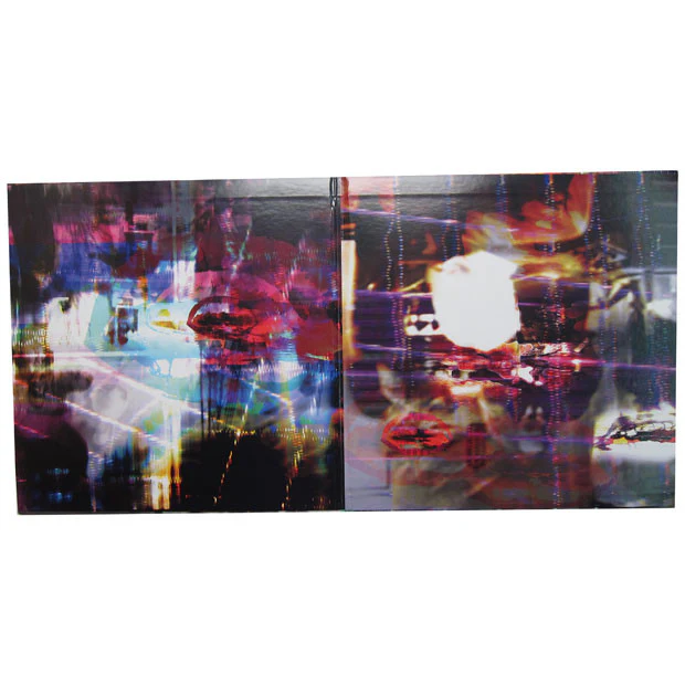 Animal Collective: Centipede HZ (Free MP3) 2LP - Image 2