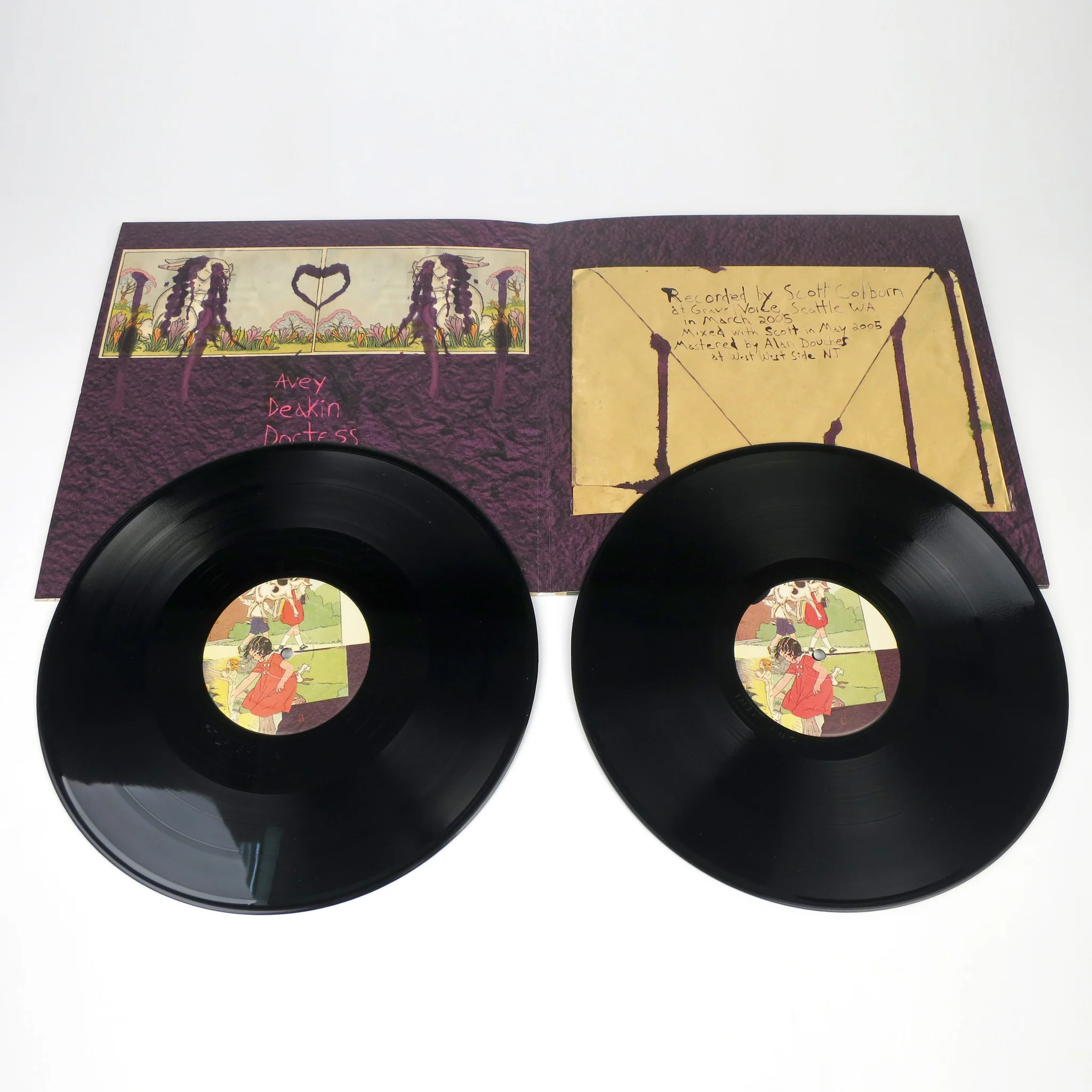 Animal Collective: Feels (My Animal Home) Vinyl 2LP - Image 2