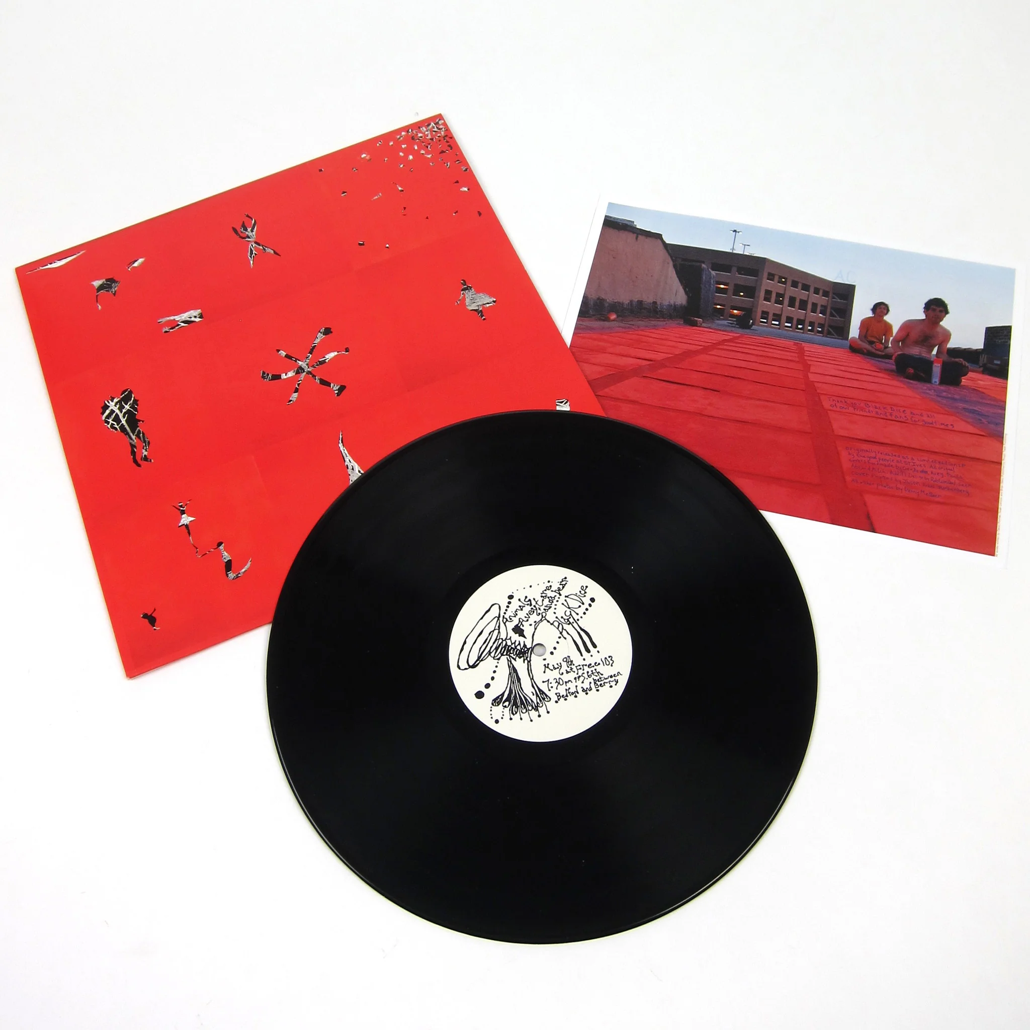 Animal Collective: Hollinndagain Vinyl LP - Image 2