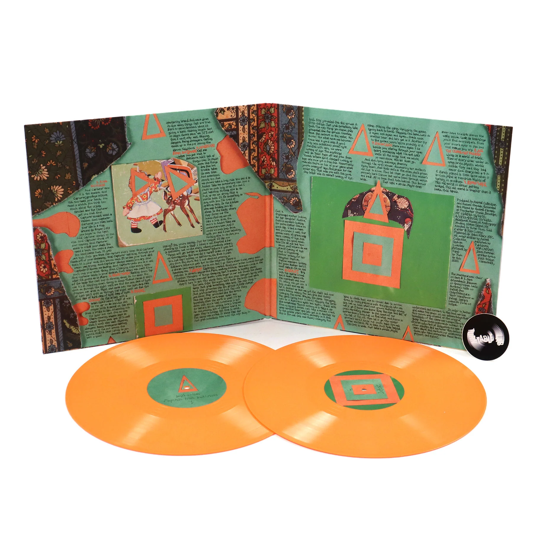 Animal Collective: Isn't It Now? (Indie Exclusive Colored Vinyl) Vinyl 2LP - Image 2