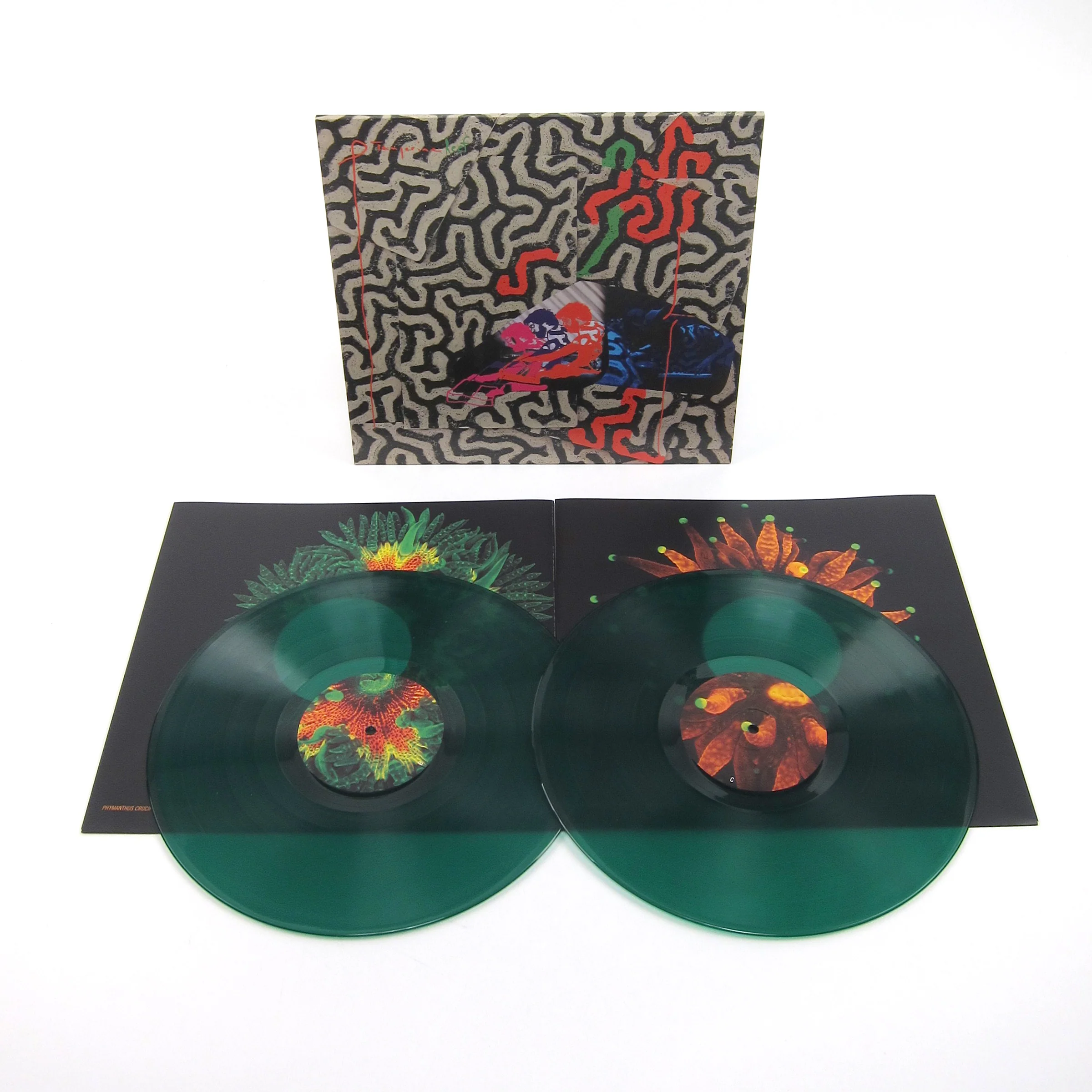 Animal Collective: Tangerine Reef (180g, Indie Exclusive Colored Vinyl) Vinyl 2LP - Image 2