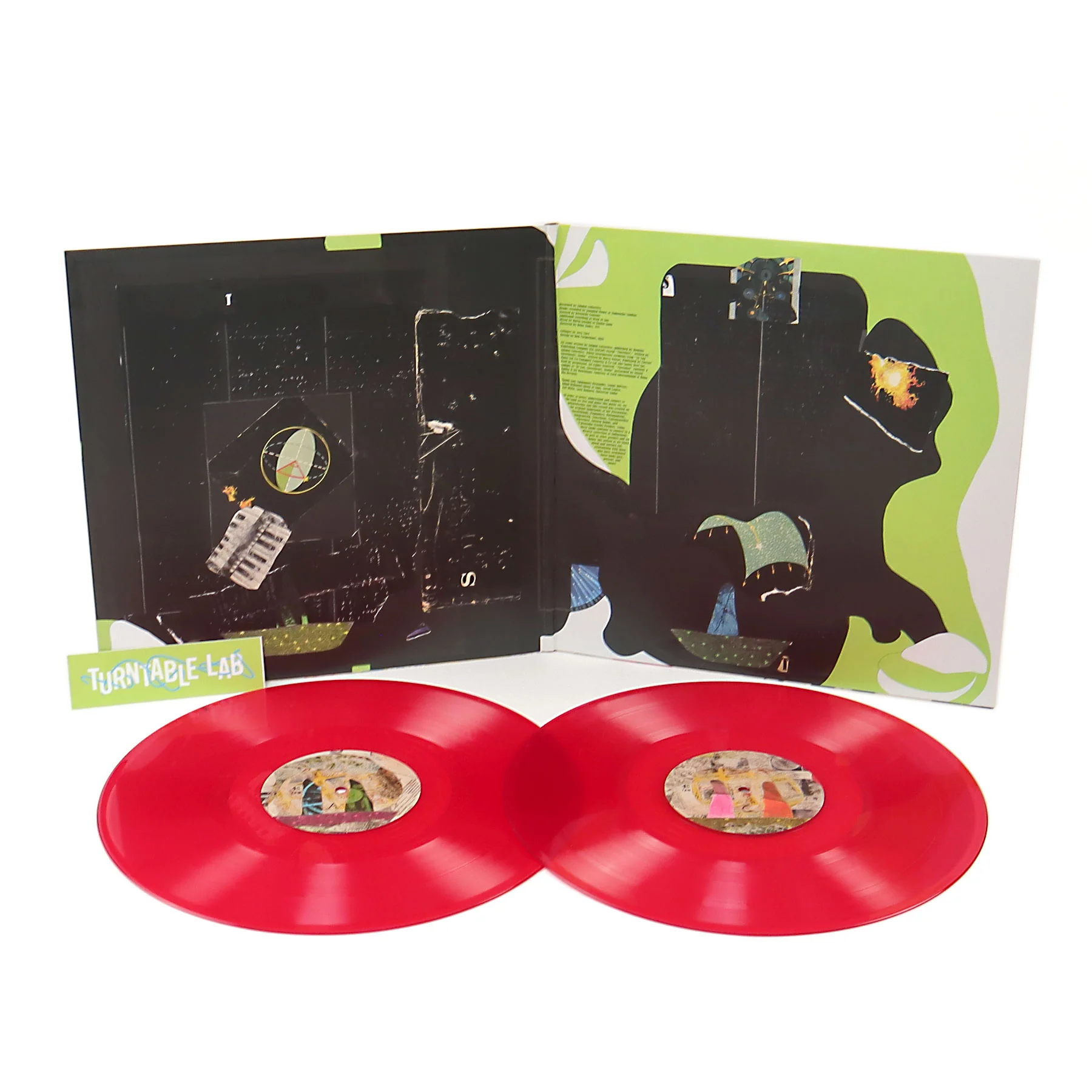 Animal Collective: Time Skiffs (Indie Exclusive Colored Vinyl) Vinyl 2LP - Image 2