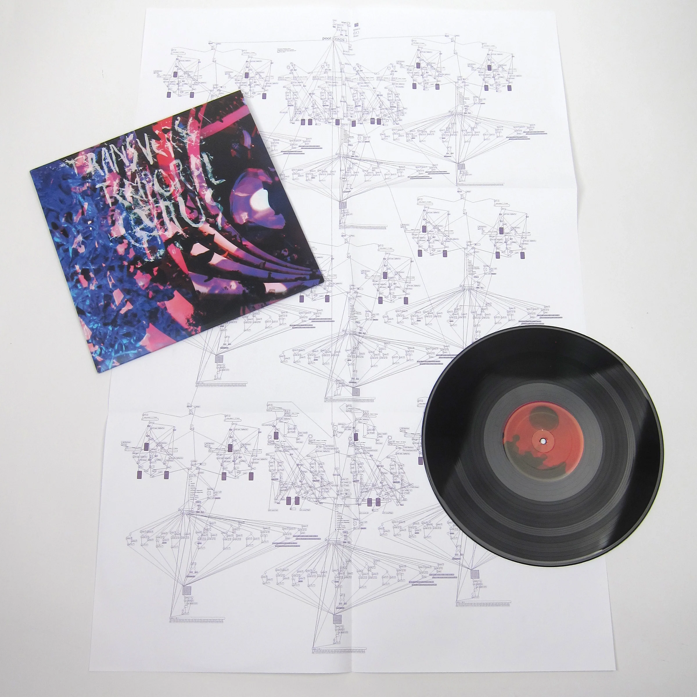 Animal Collective: Transverse Temporal Gyrus Vinyl LP - Image 2