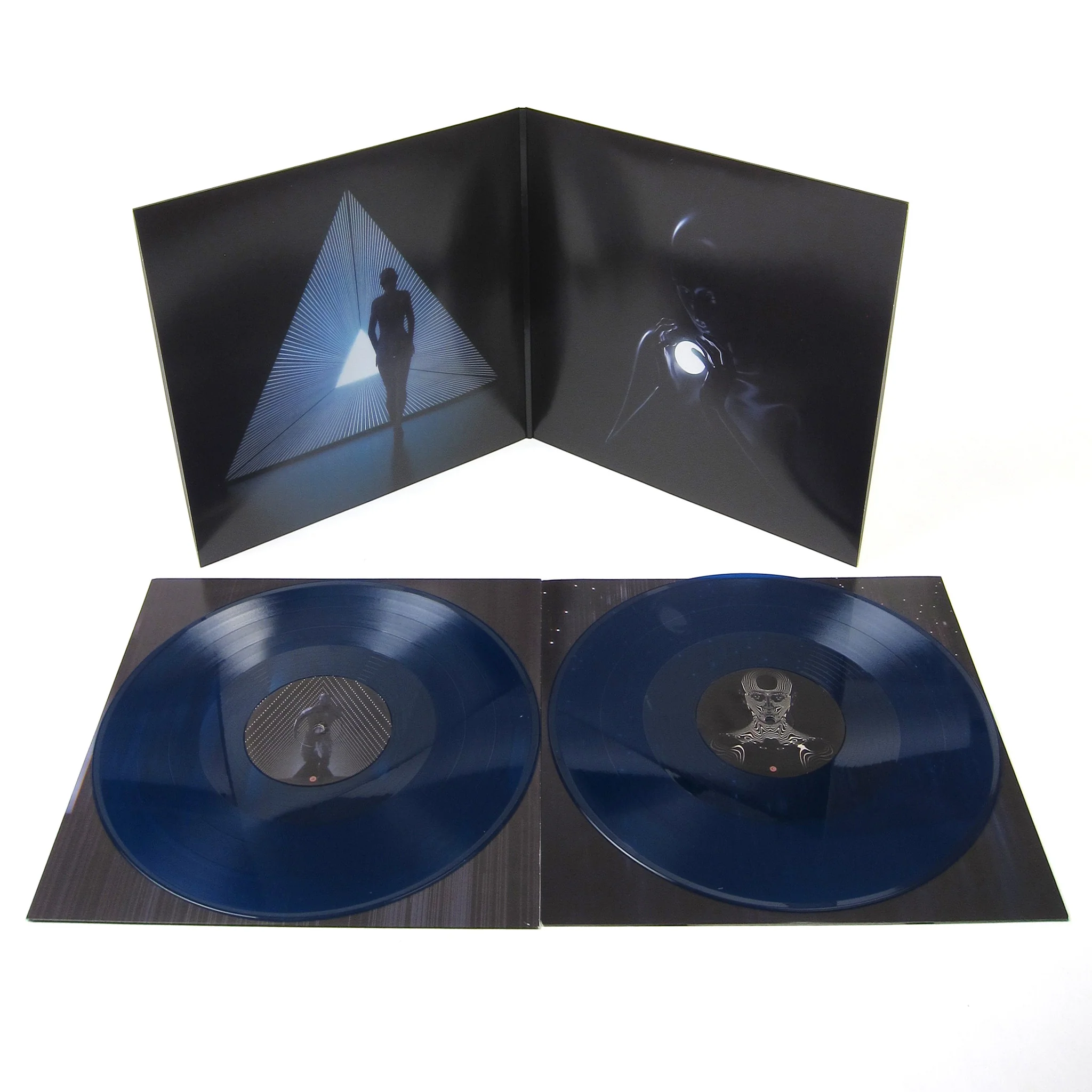 Animals As Leaders: The Madness Of Many (Transparent Blue Vinyl) Vinyl 2LP - Image 2