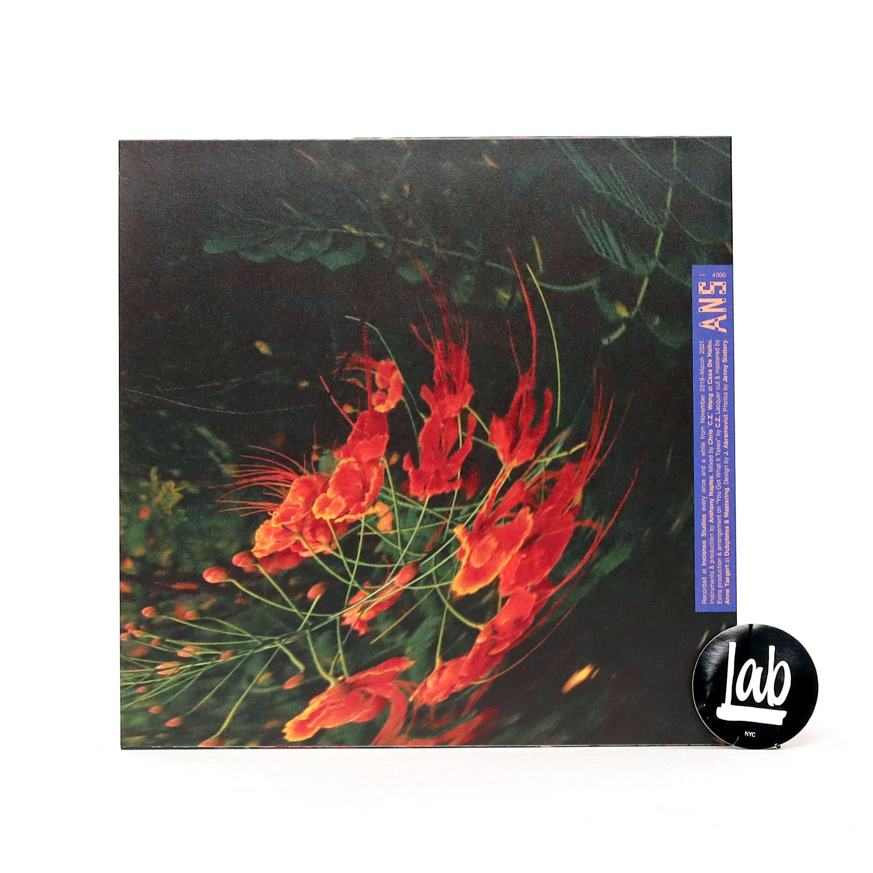 Anthony Naples: Chameleon Vinyl LP - Image 2