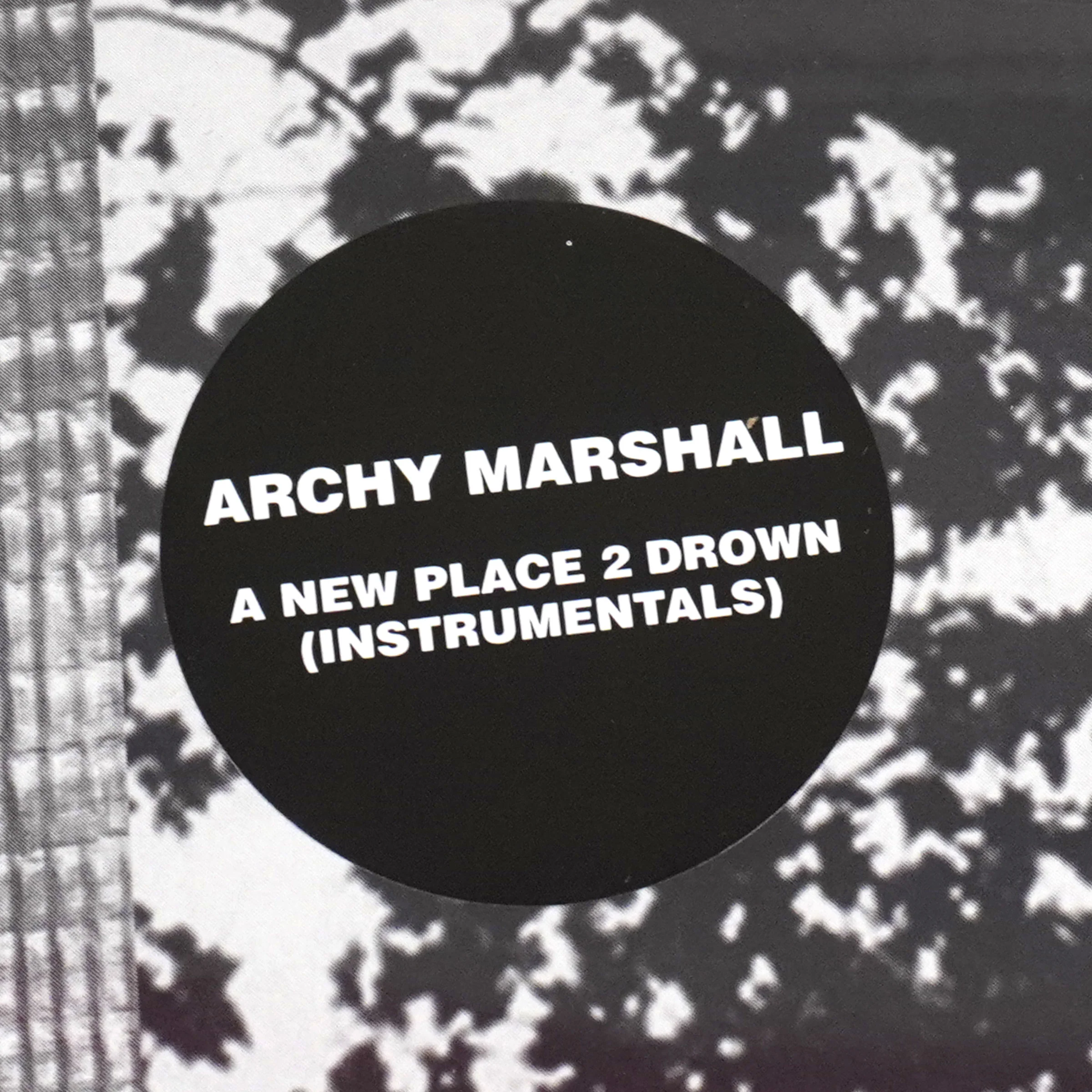 Archy Marshall: A New Place 2 Drown - Instrumentals (King Krule) Vinyl LP - Image 4