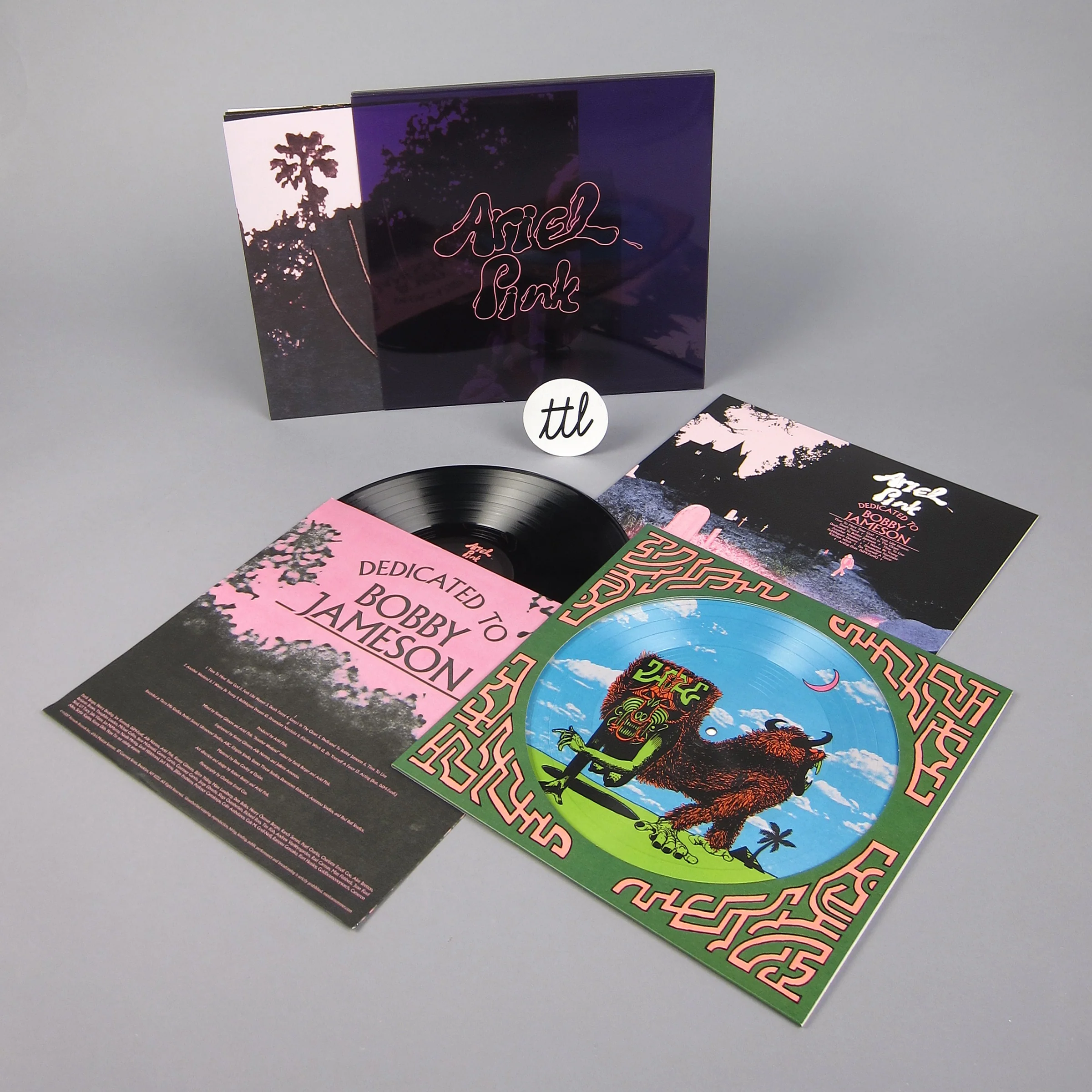 Ariel Pink: Dedicated To Bobby Jameson Deluxe Edition Vinyl 2LP - Image 2