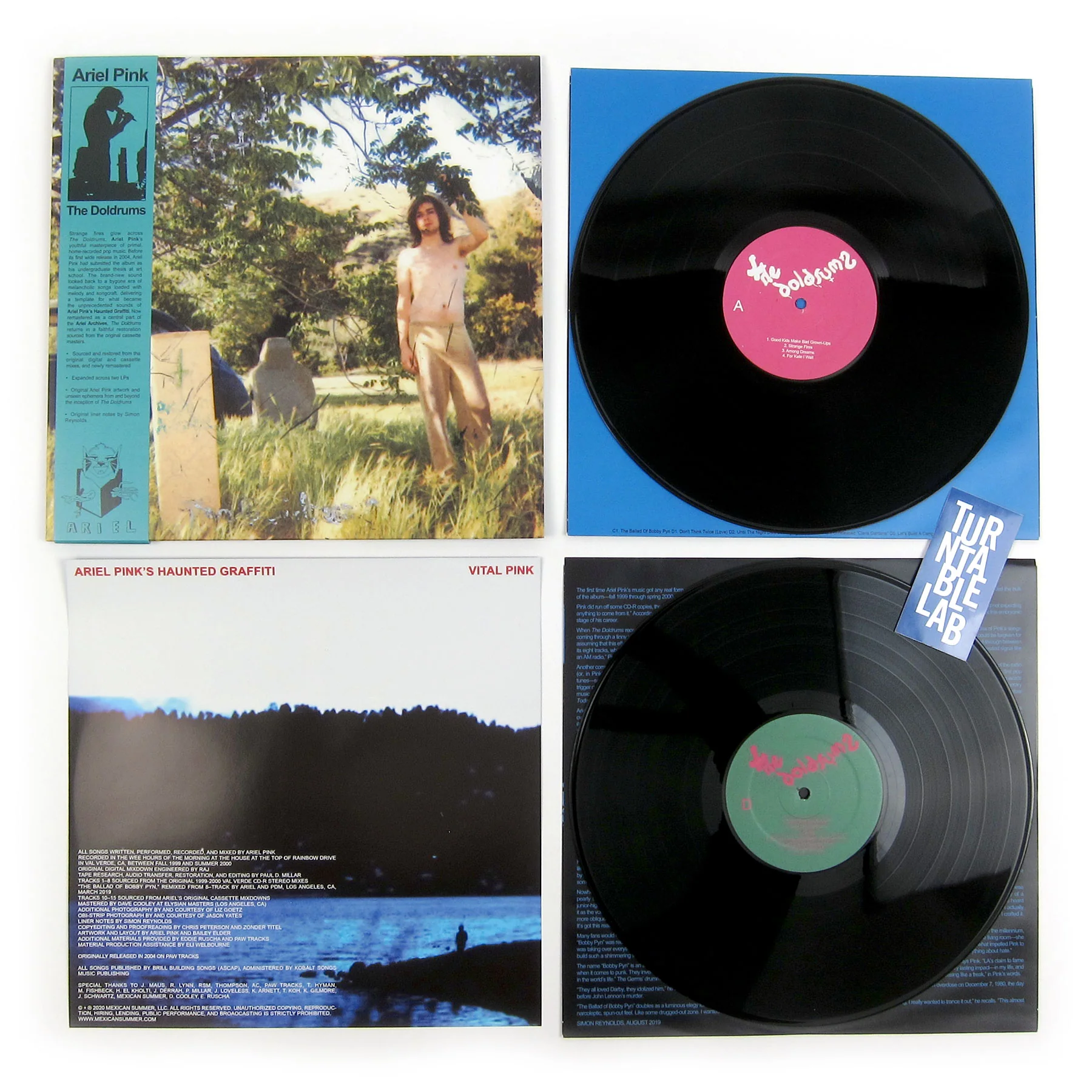 Ariel Pink: The Doldrums Vinyl 2LP - Image 2