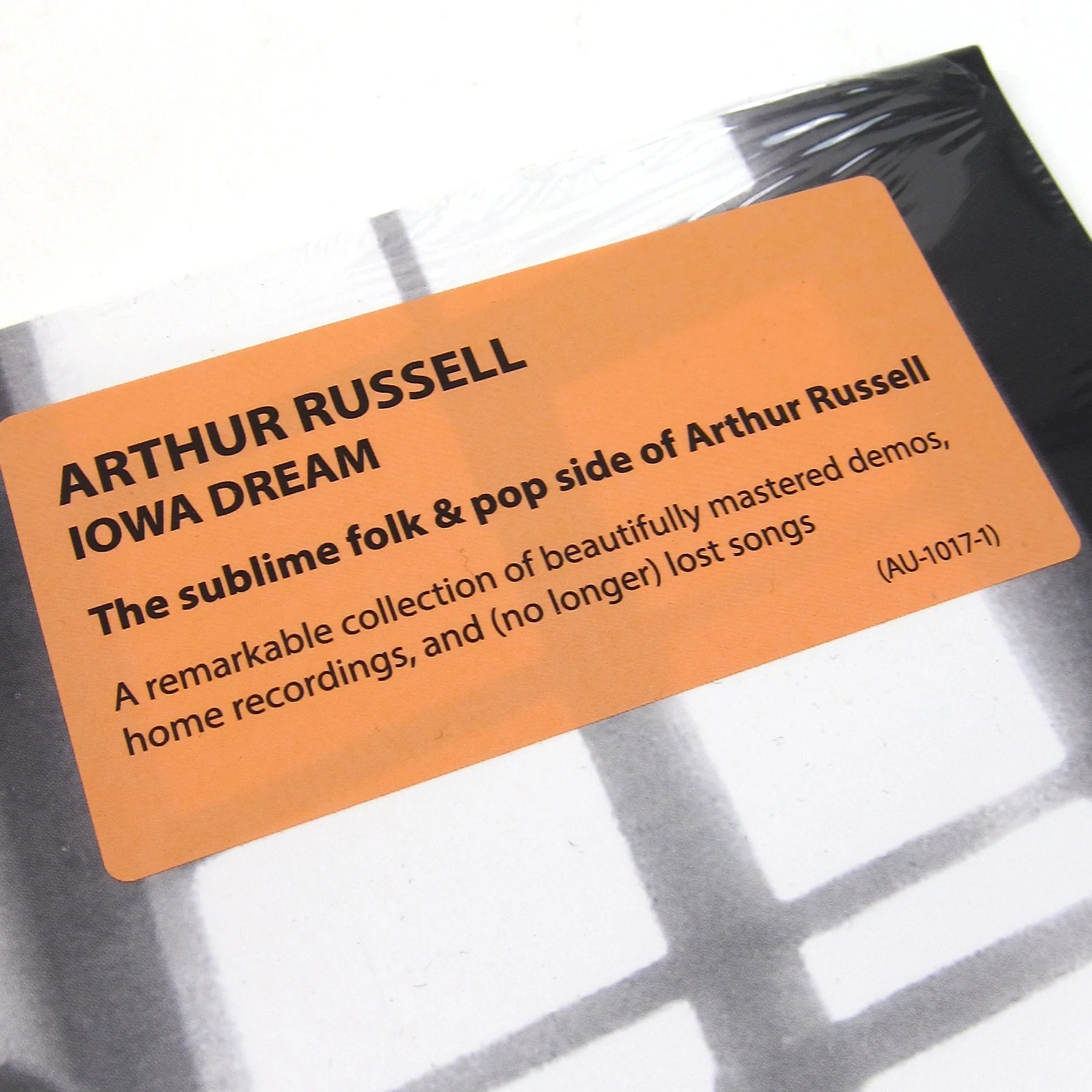 Arthur Russell: Iowa Dream Vinyl 2LP - Image 4