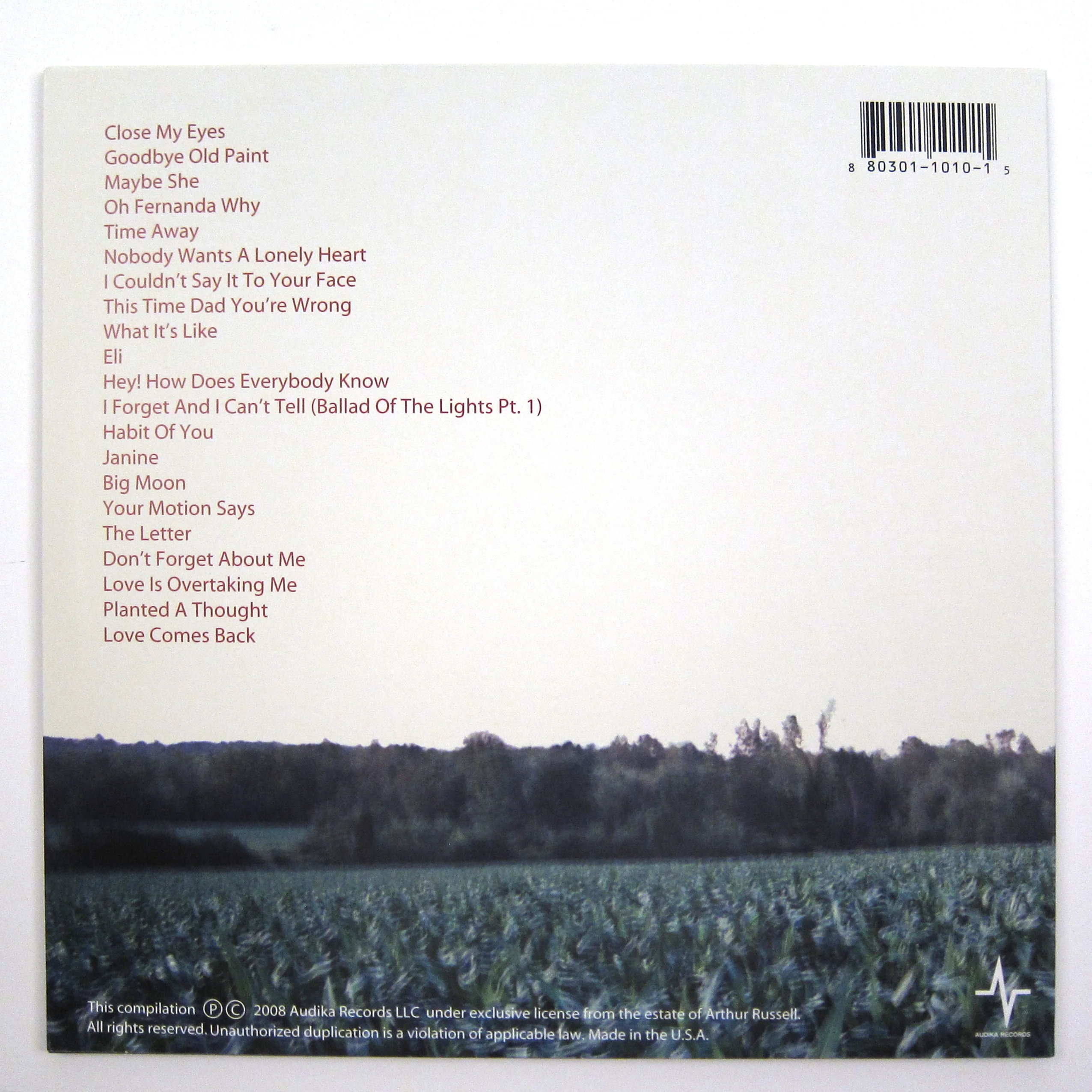 Arthur Russell: Love Is Overtaking Me - Redux Vinyl 2LP - PRE-ORDER - Image 2