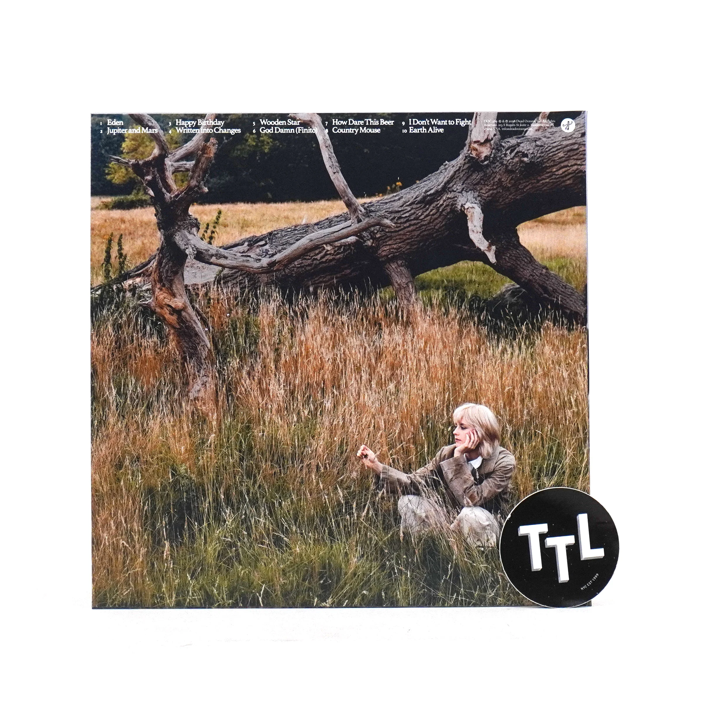 Avalon Emerson & The Charm: Written Into Changes (Colored Vinyl) Vinyl LP+Print - Image 4