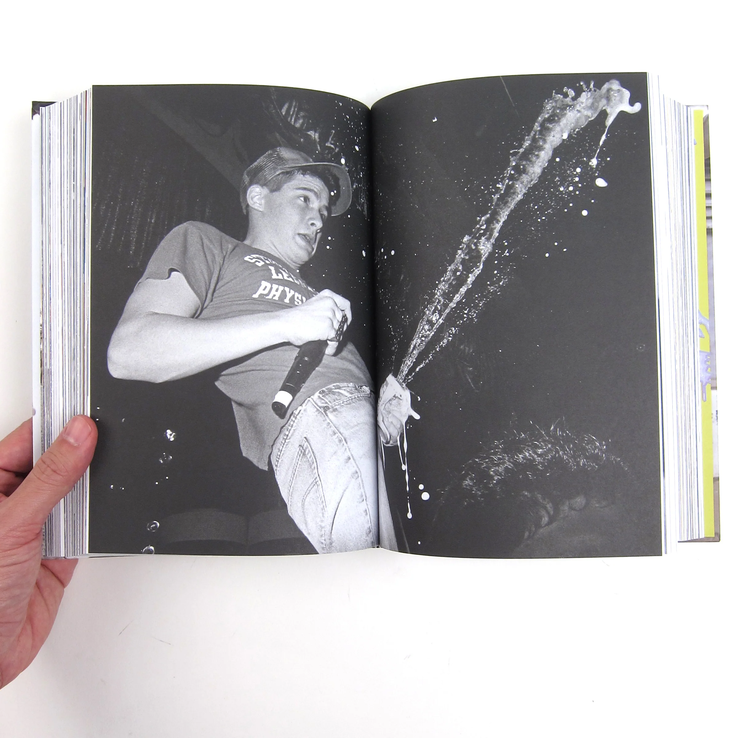 Beastie Boys: Beastie Boys Book - Image 6