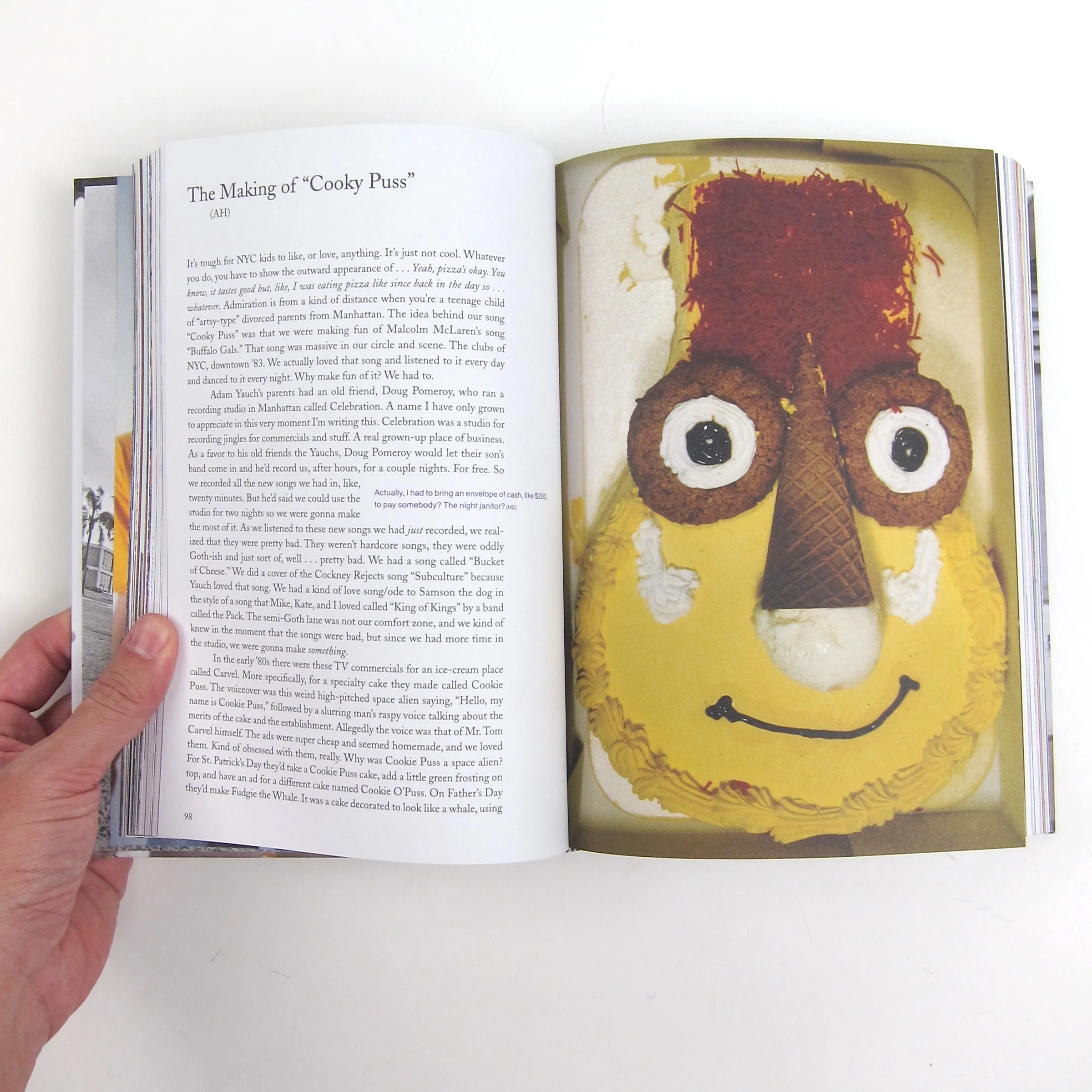 Beastie Boys: Beastie Boys Book - Image 7
