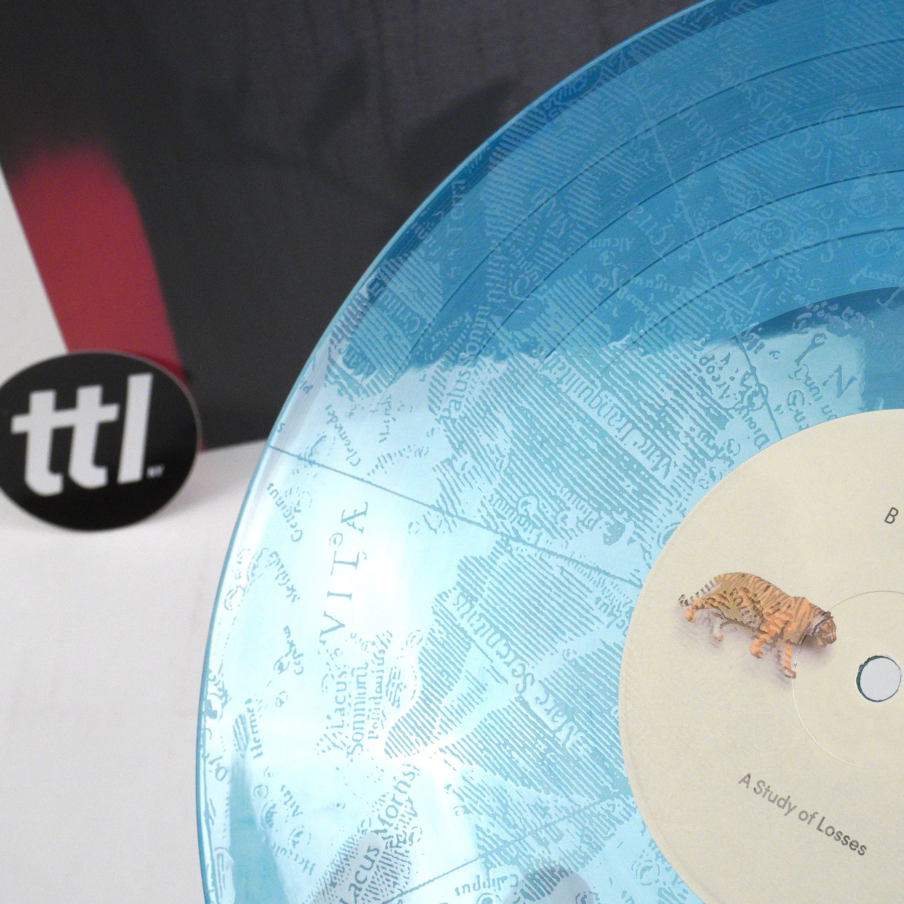 Beirut: A Study Of Losses (Colored Vinyl) Vinyl 2LP - Image 3
