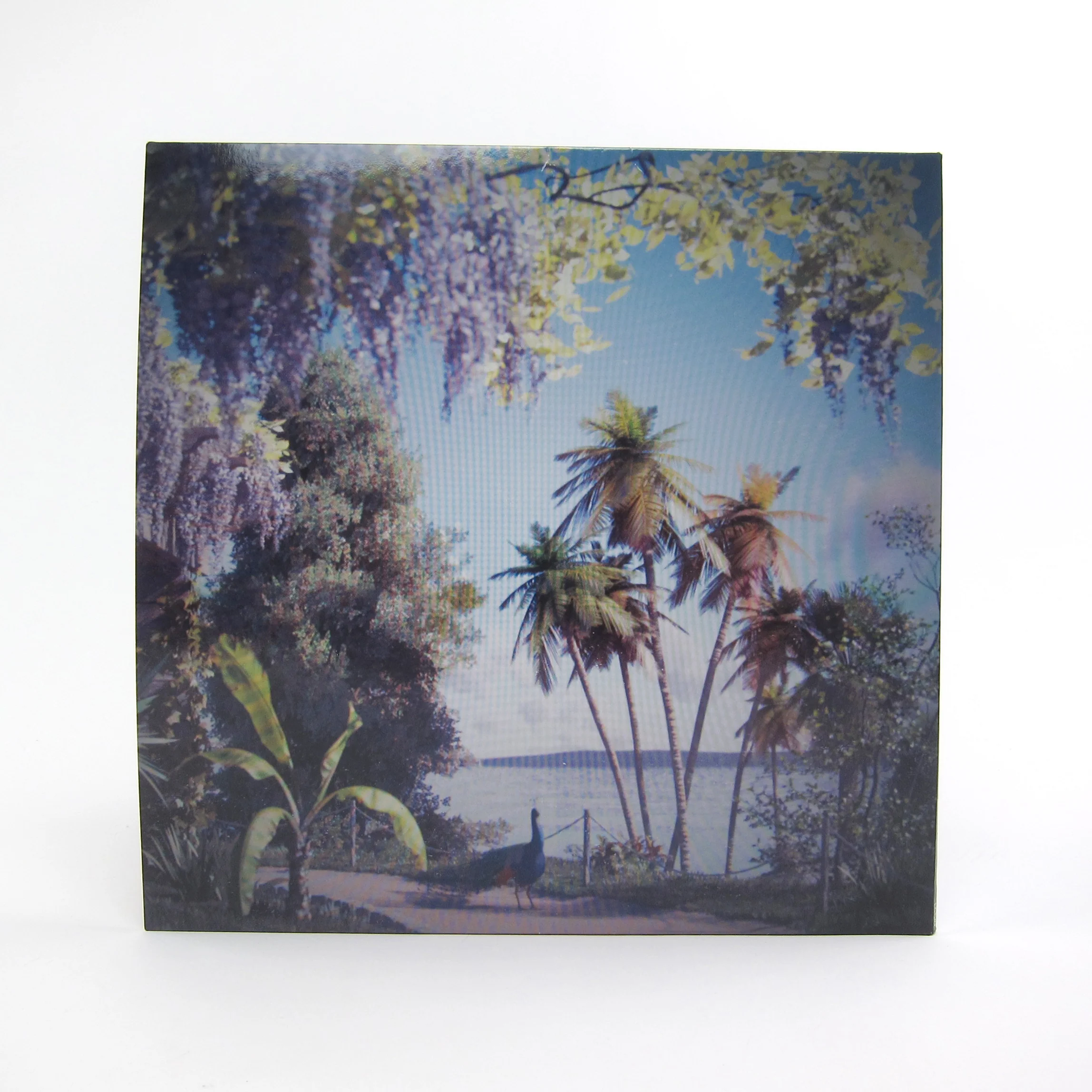 Beirut: Gallipoli (Indie Exclusive Colored Vinyl) Vinyl LP - Image 3