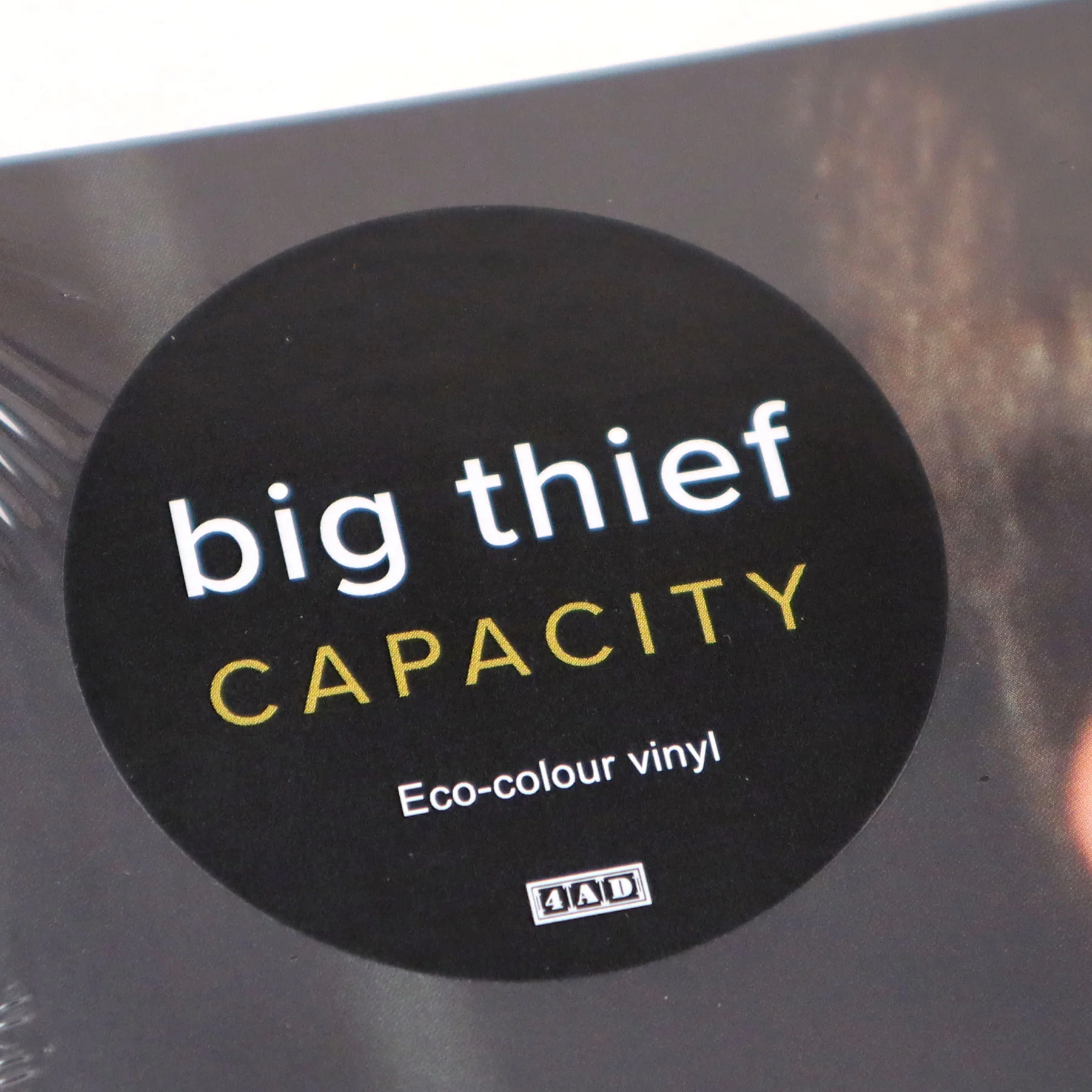 Big Thief: Capacity (Eco Colored Vinyl) Vinyl LP - Image 4