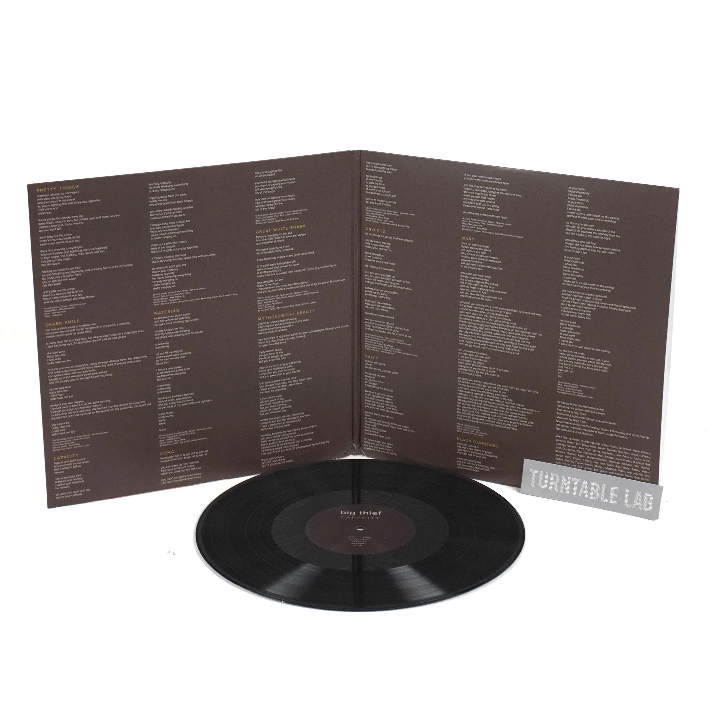 Big Thief: Capacity Vinyl LP - Image 2
