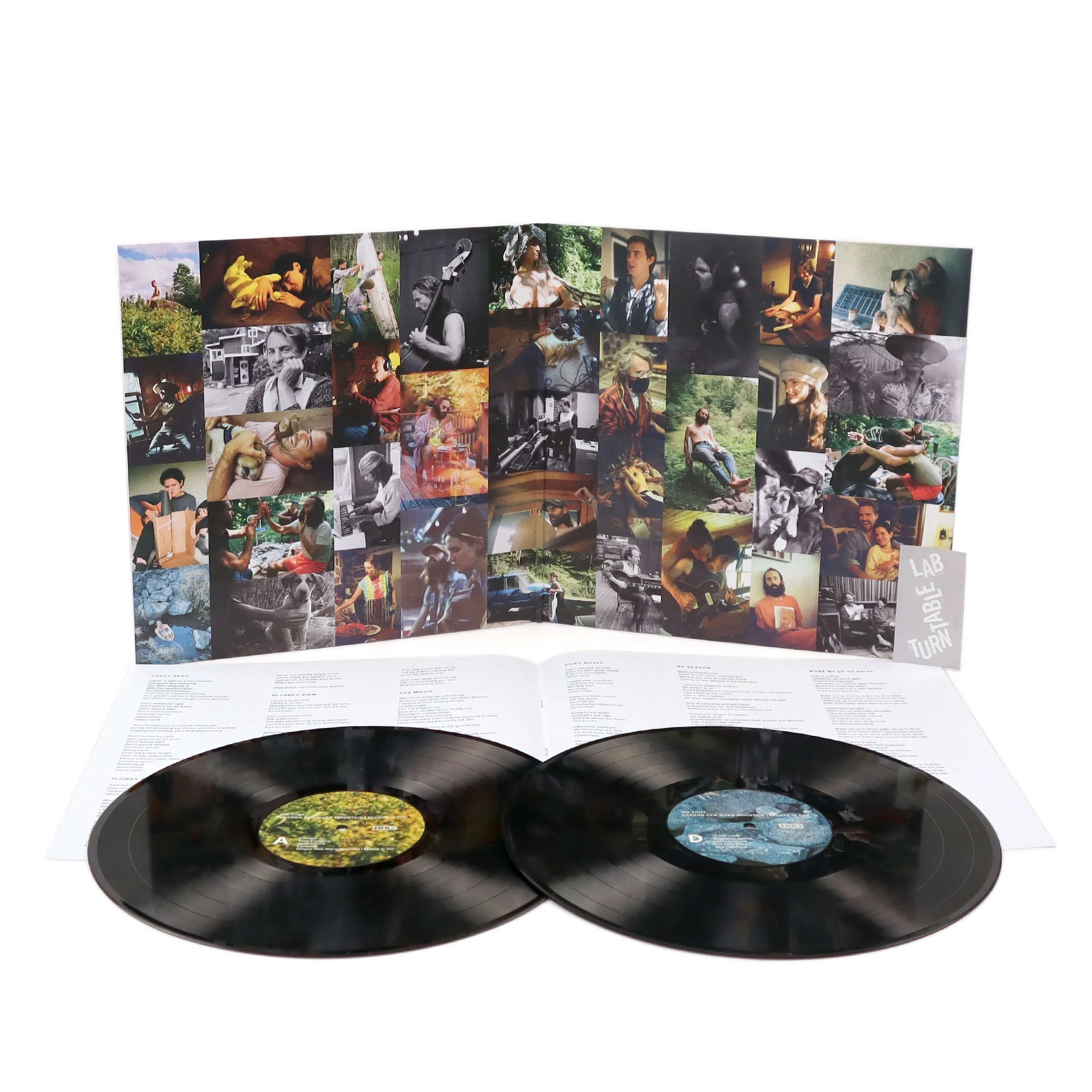 Big Thief: Dragon New Warm Mountain I Believe In You Vinyl 2LP - Image 2