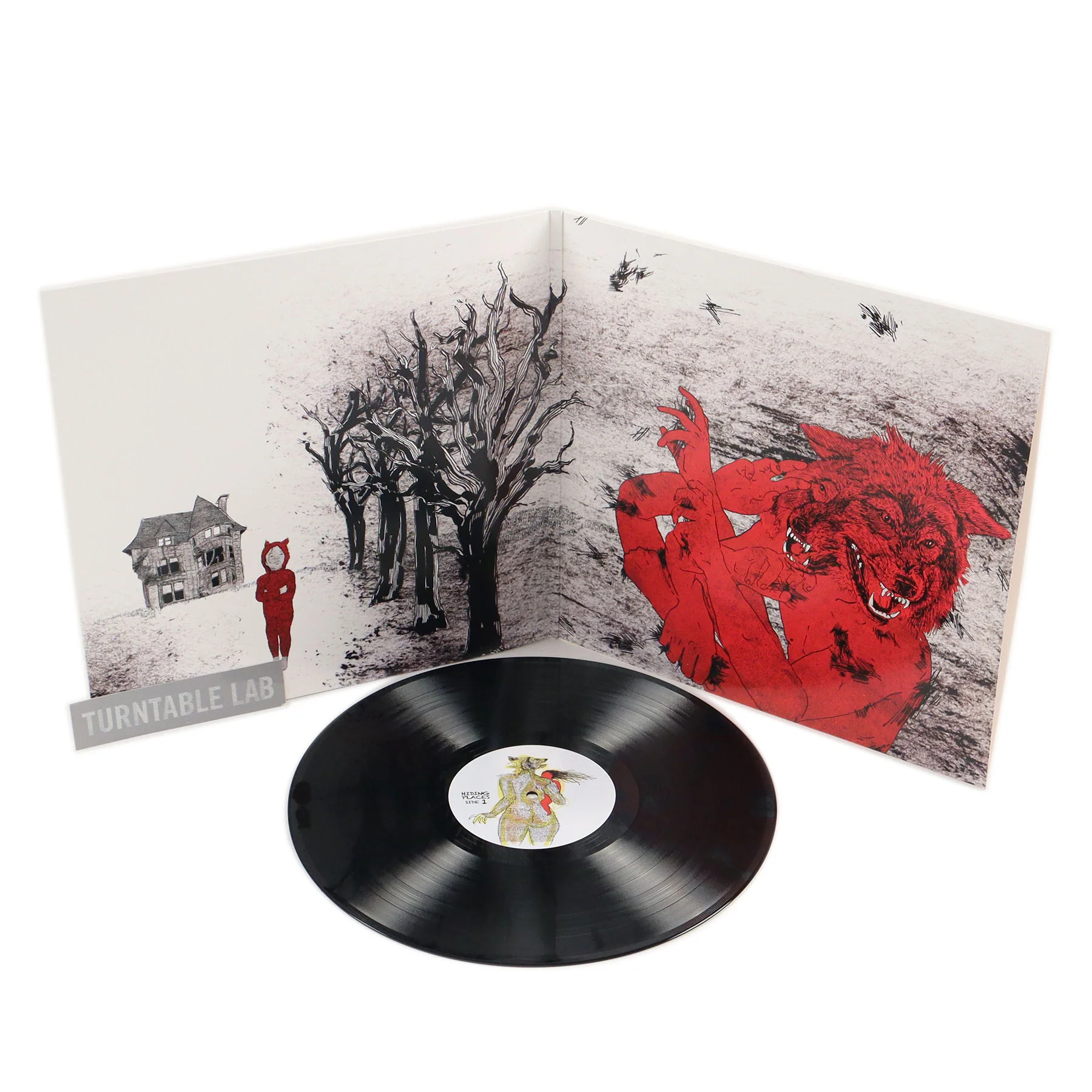 Billy Woods & Kenny Segal: Hiding Places Vinyl LP - Image 2