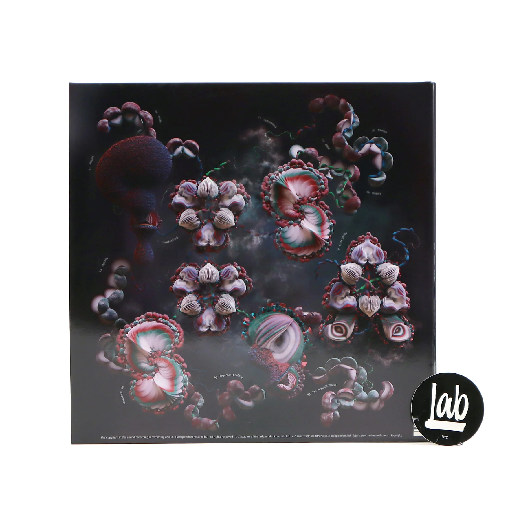 Bjork: Fossora Vinyl 2LP - Image 3