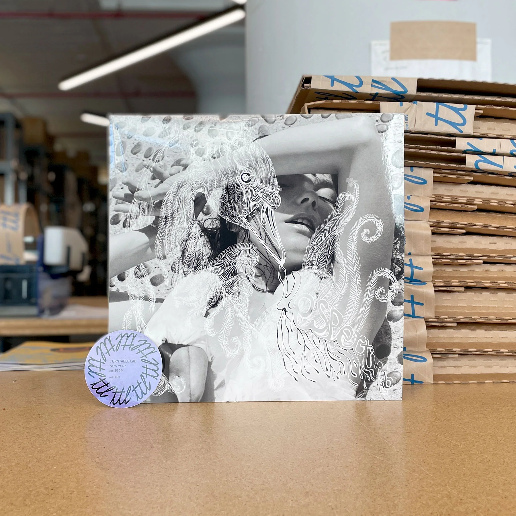 Bjork: Vespertine Vinyl 2LP - Image 4