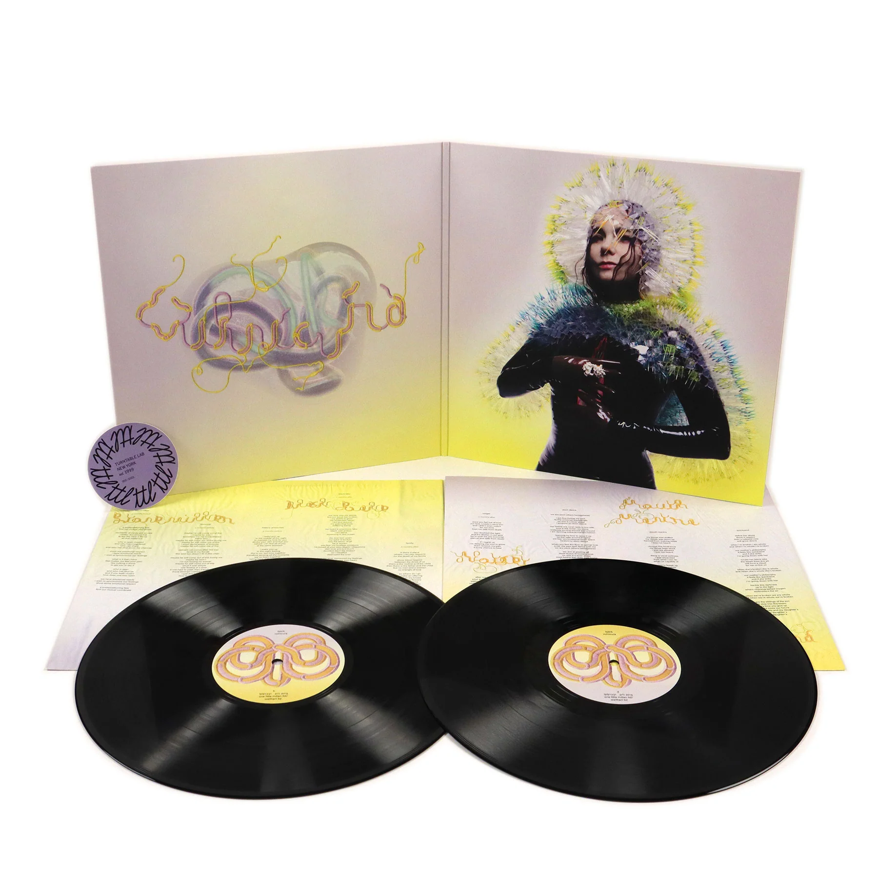 Bjork: Vulnicura - Deluxe Edition Vinyl 2LP - Image 2