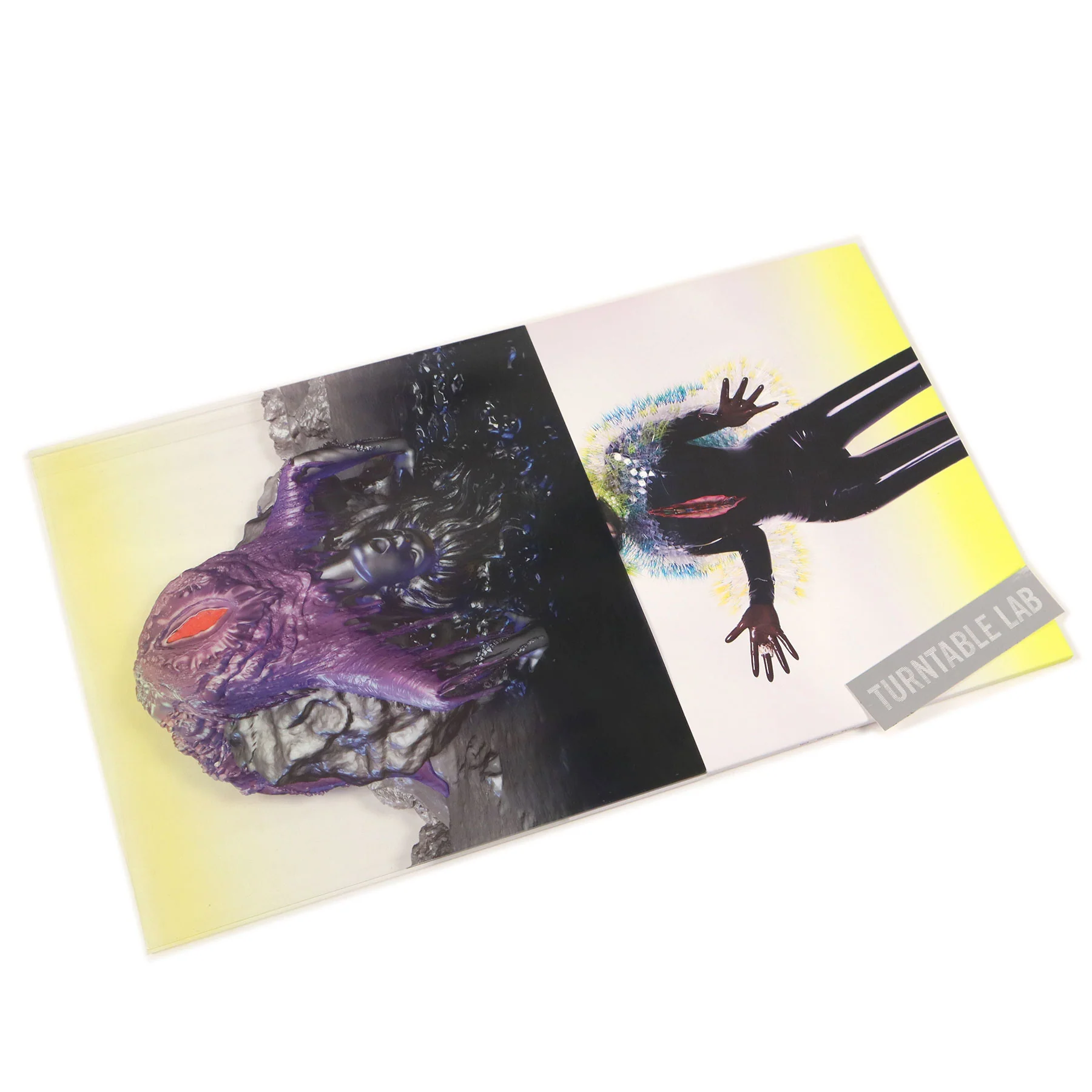 Bjork: Vulnicura - Deluxe Edition Vinyl 2LP - Image 3