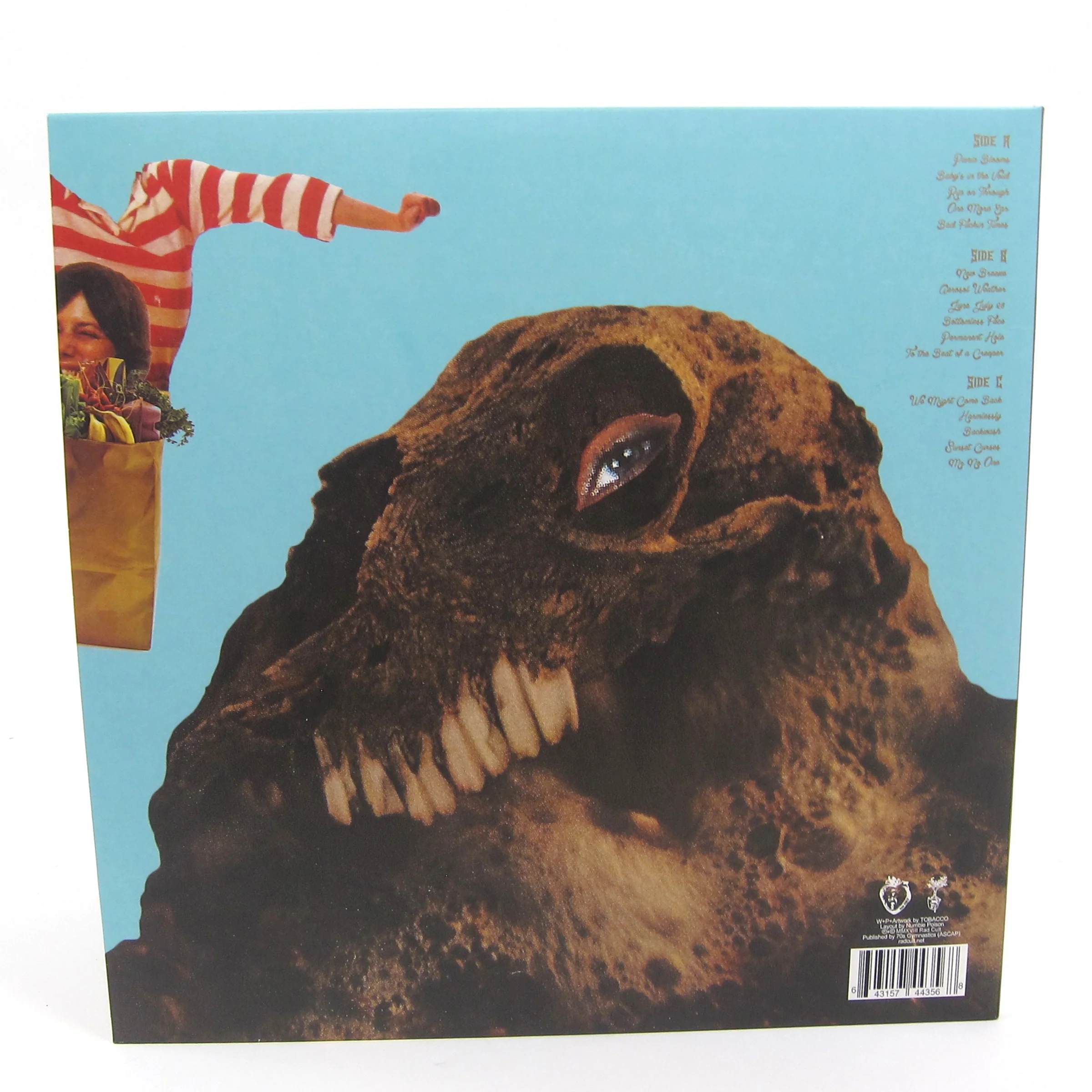 Black Moth Super Rainbow: Panic Blooms (Colored Vinyl) Vinyl 2LP - Image 4