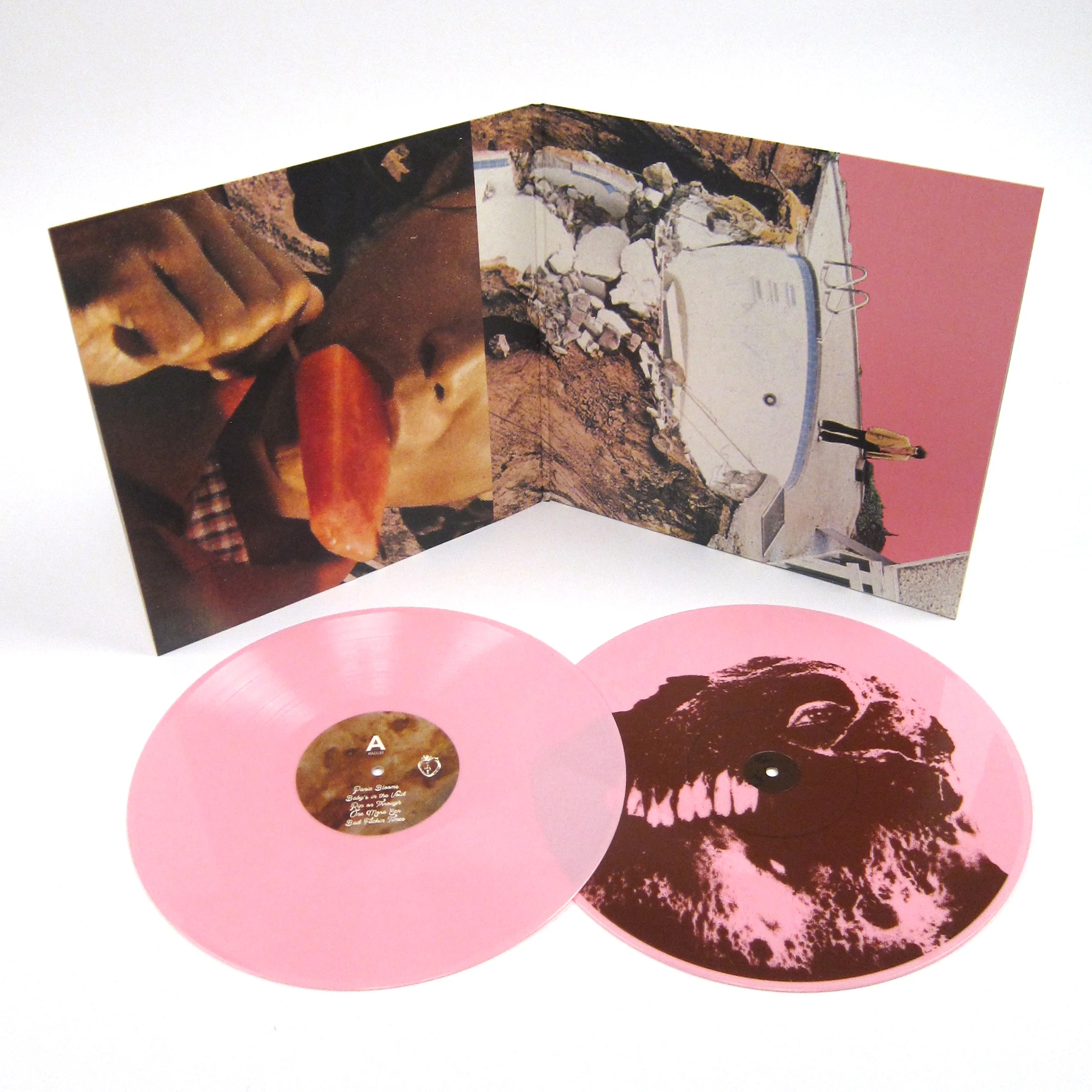 Black Moth Super Rainbow: Panic Blooms (Pink Colored Vinyl) Vinyl 2LP - Image 2