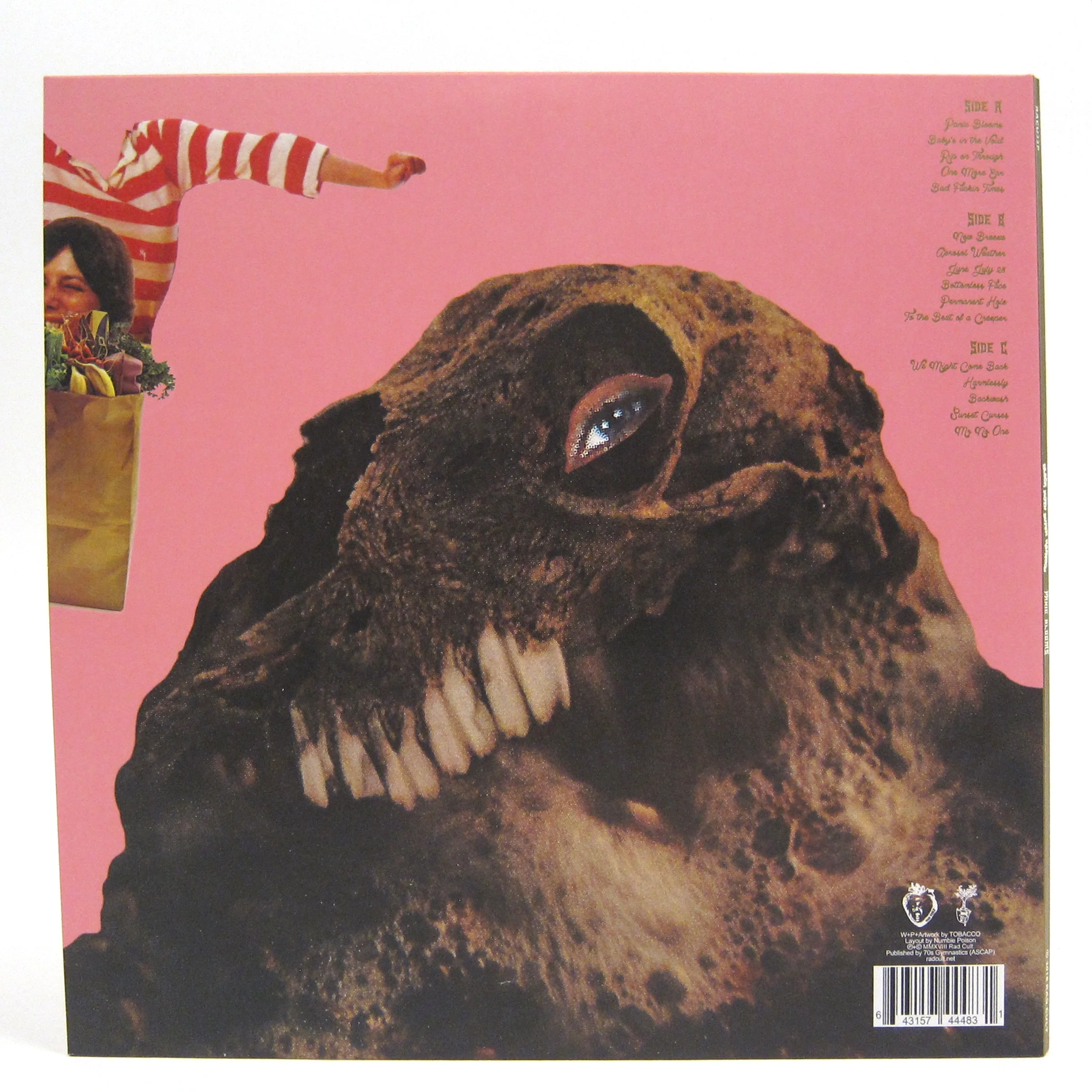 Black Moth Super Rainbow: Panic Blooms (Pink Colored Vinyl) Vinyl 2LP - Image 3