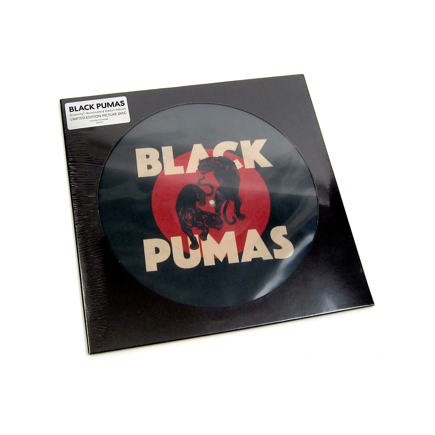 Black Pumas: Black Pumas (Indie Exclusive Pic Disc) Vinyl LP - Image 4