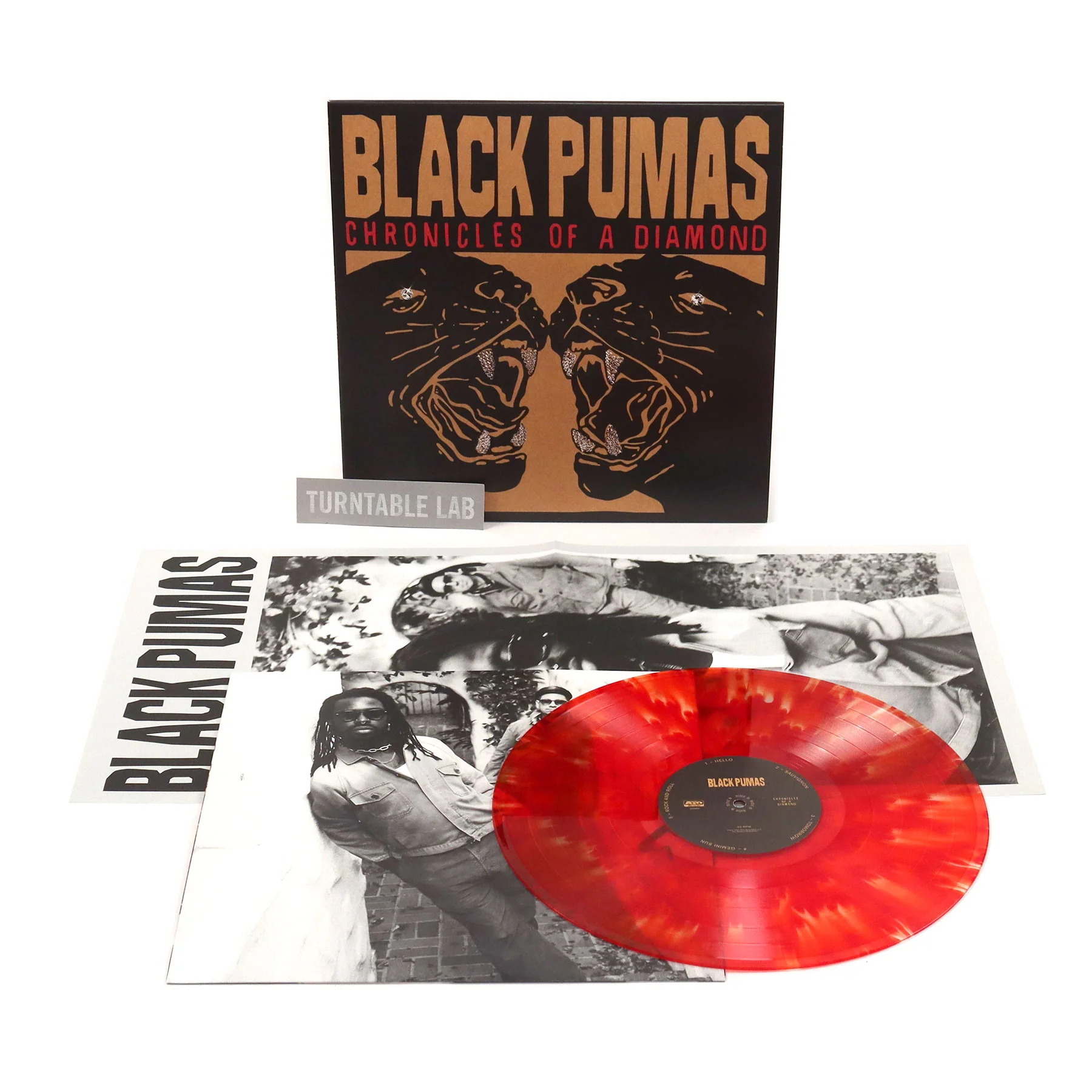 Black Pumas: Chronicles Of A Diamond (Indie Exclusive Colored Vinyl) Vinyl LP - Image 2