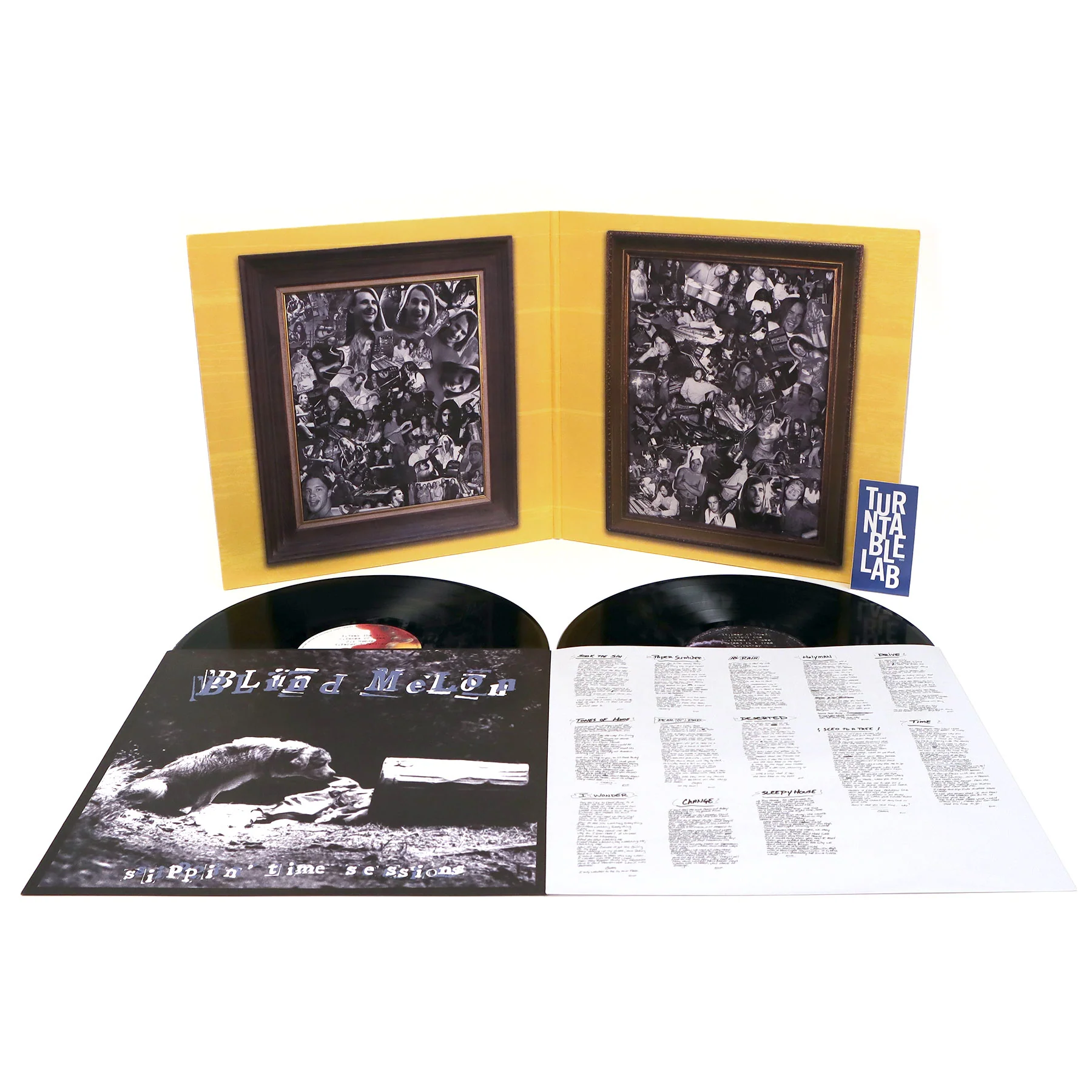 Blind Melon: Blind Melon / Sippin' Time Sessions Vinyl 2LP - Image 2