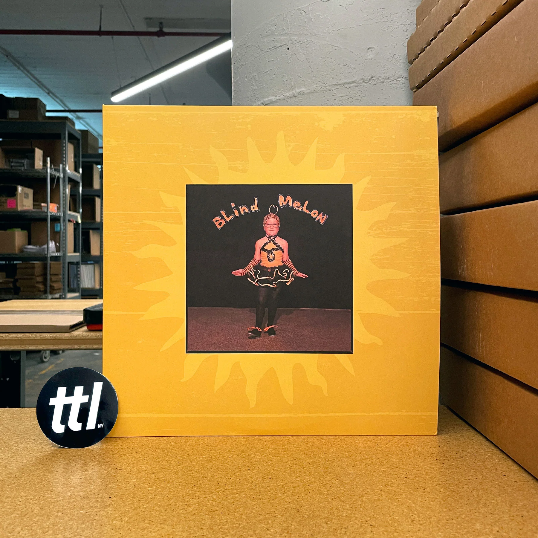 Blind Melon: Blind Melon / Sippin' Time Sessions Vinyl 2LP - Image 4