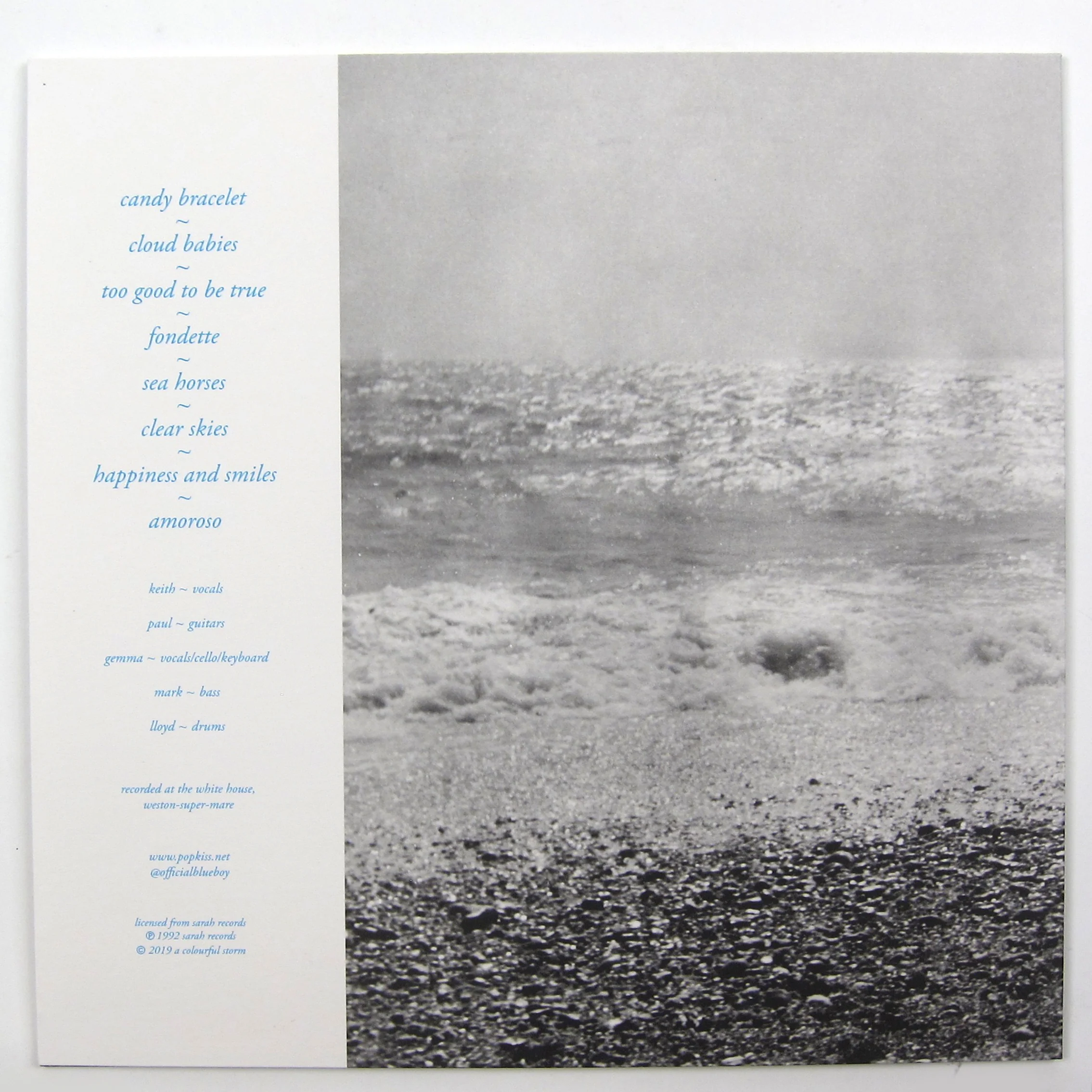 Blueboy: If Wishes Were Horses Vinyl LP - Image 3