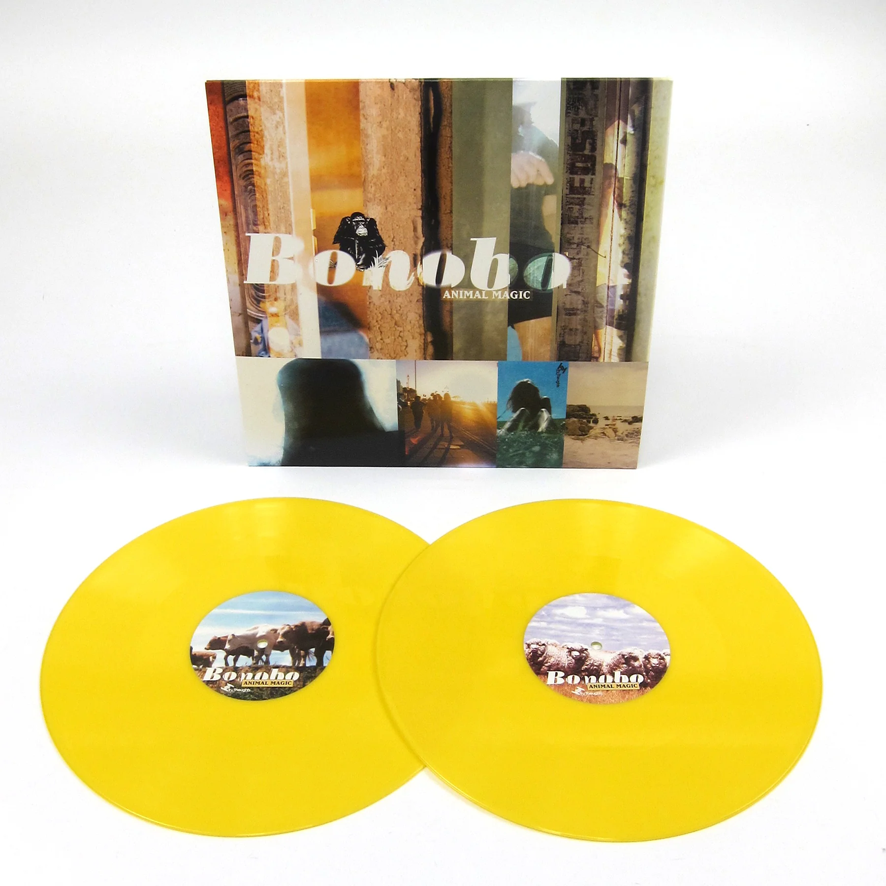Bonobo: Animal Magic (180g, Colored Vinyl) Vinyl 2LP - Image 3