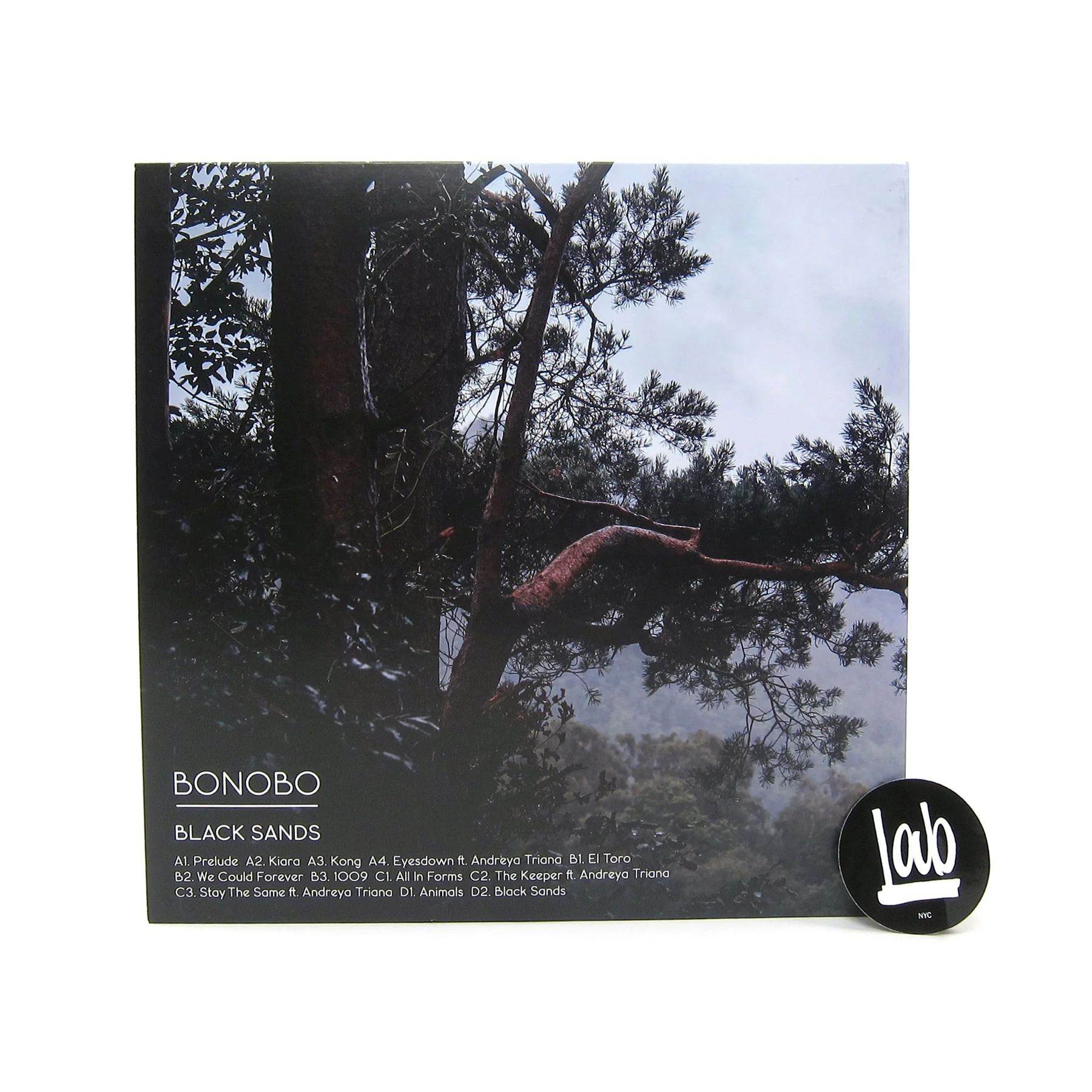 Bonobo: Black Sands - 10th Anniversary Edition (Colored Vinyl) Vinyl 2LP - Image 3