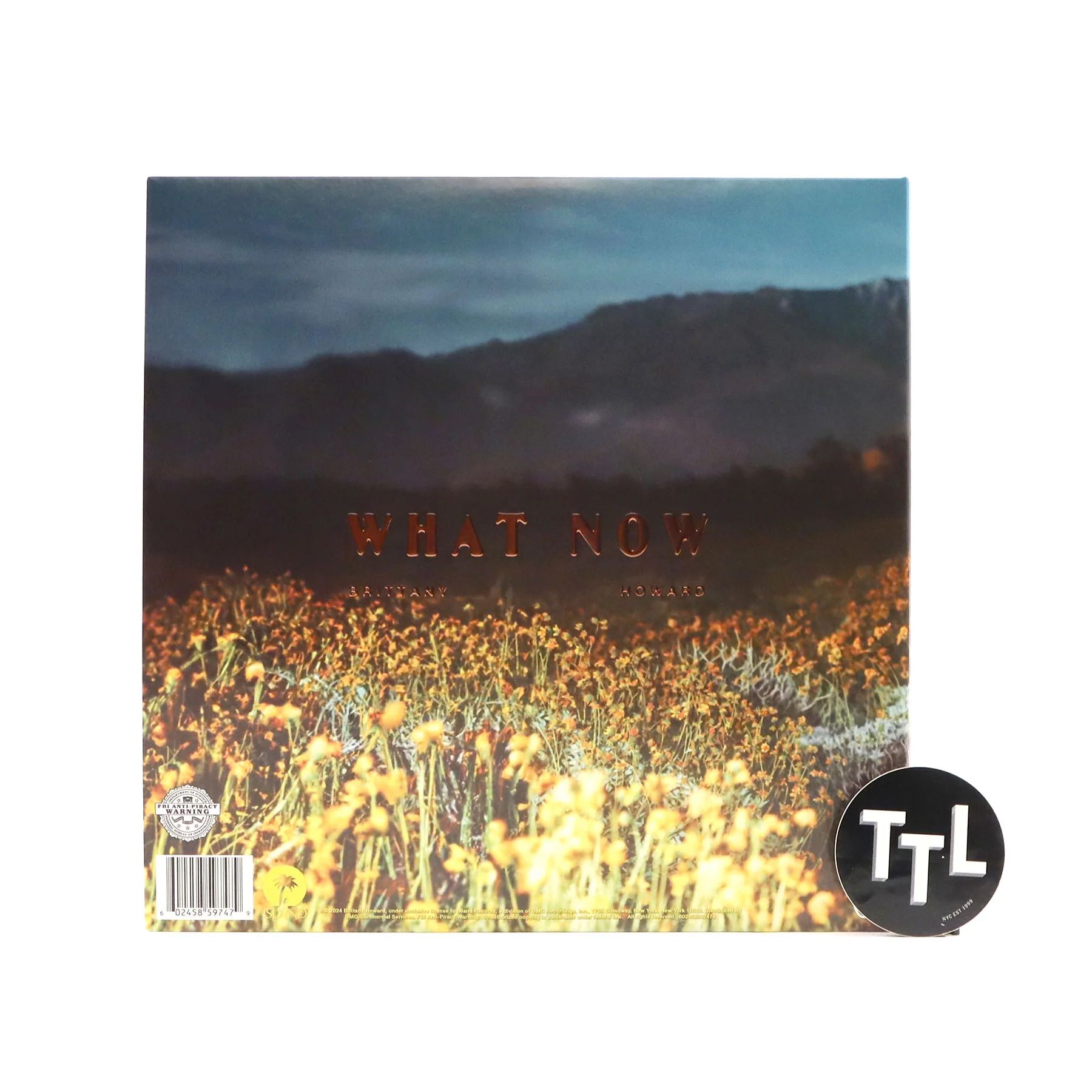 Brittany Howard: What Now (Colored Vinyl) Vinyl LP - Image 3