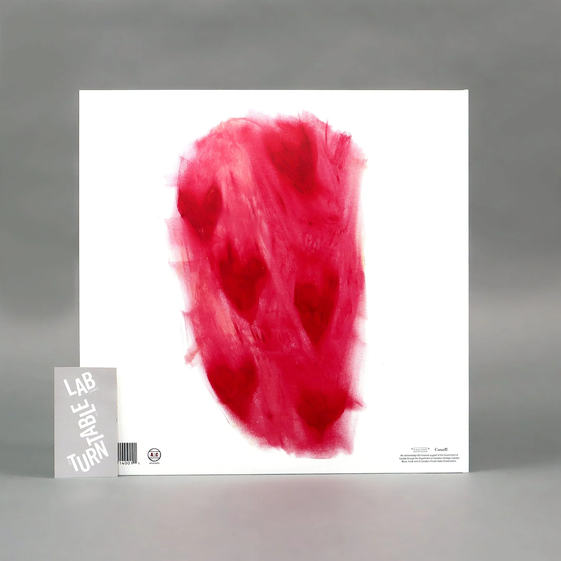 Broken Social Scene: Broken Social Scene (Colored Vinyl) Vinyl 2LP - Turntable Lab Exclusive - LIMIT 1 PER CUSTOMER - Image 4