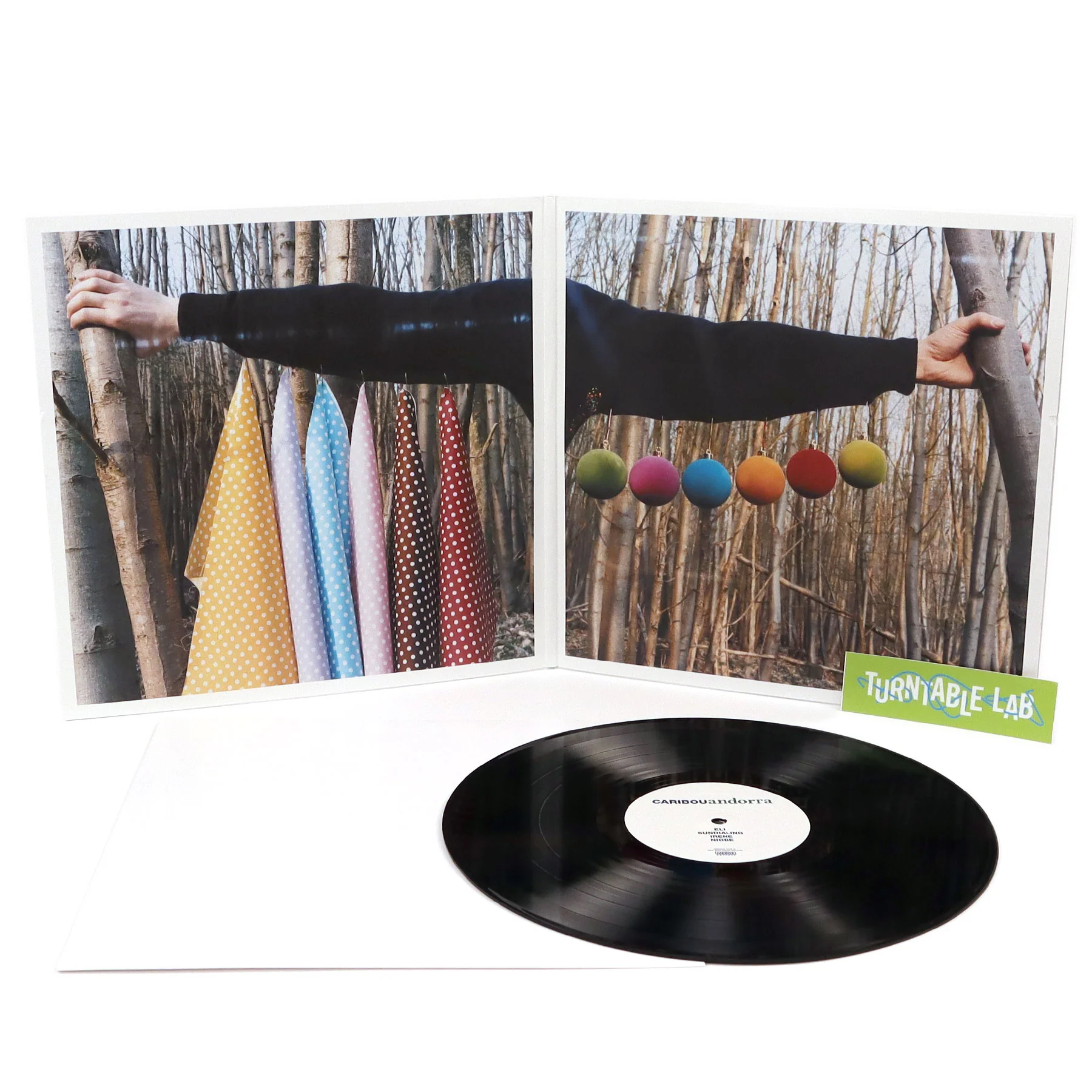 Caribou: Andorra (180g) Vinyl LP - Image 2