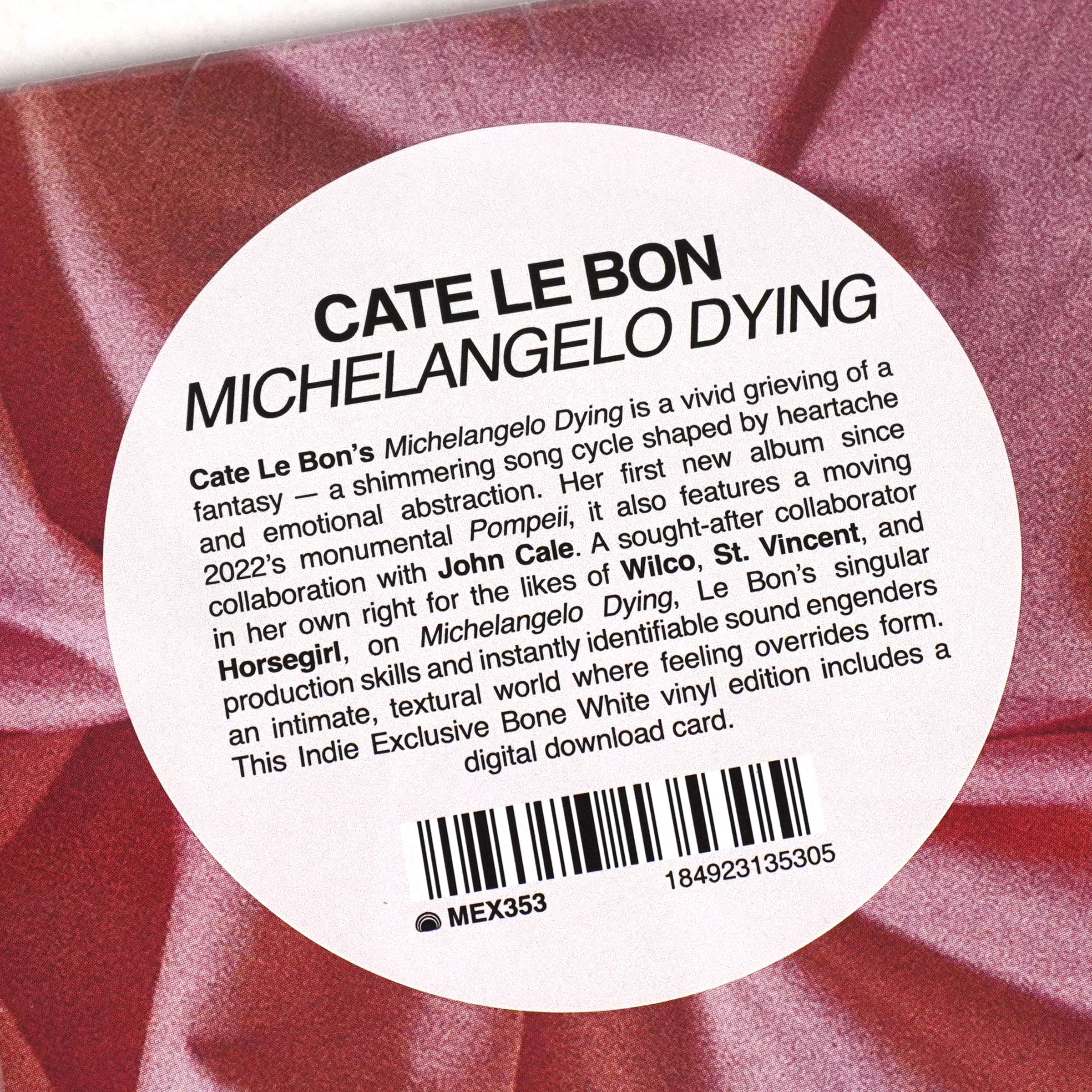 Cate Le Bon: Michelangelo Dying (Indie Exclusive Colored Vinyl) Vinyl LP - Image 4